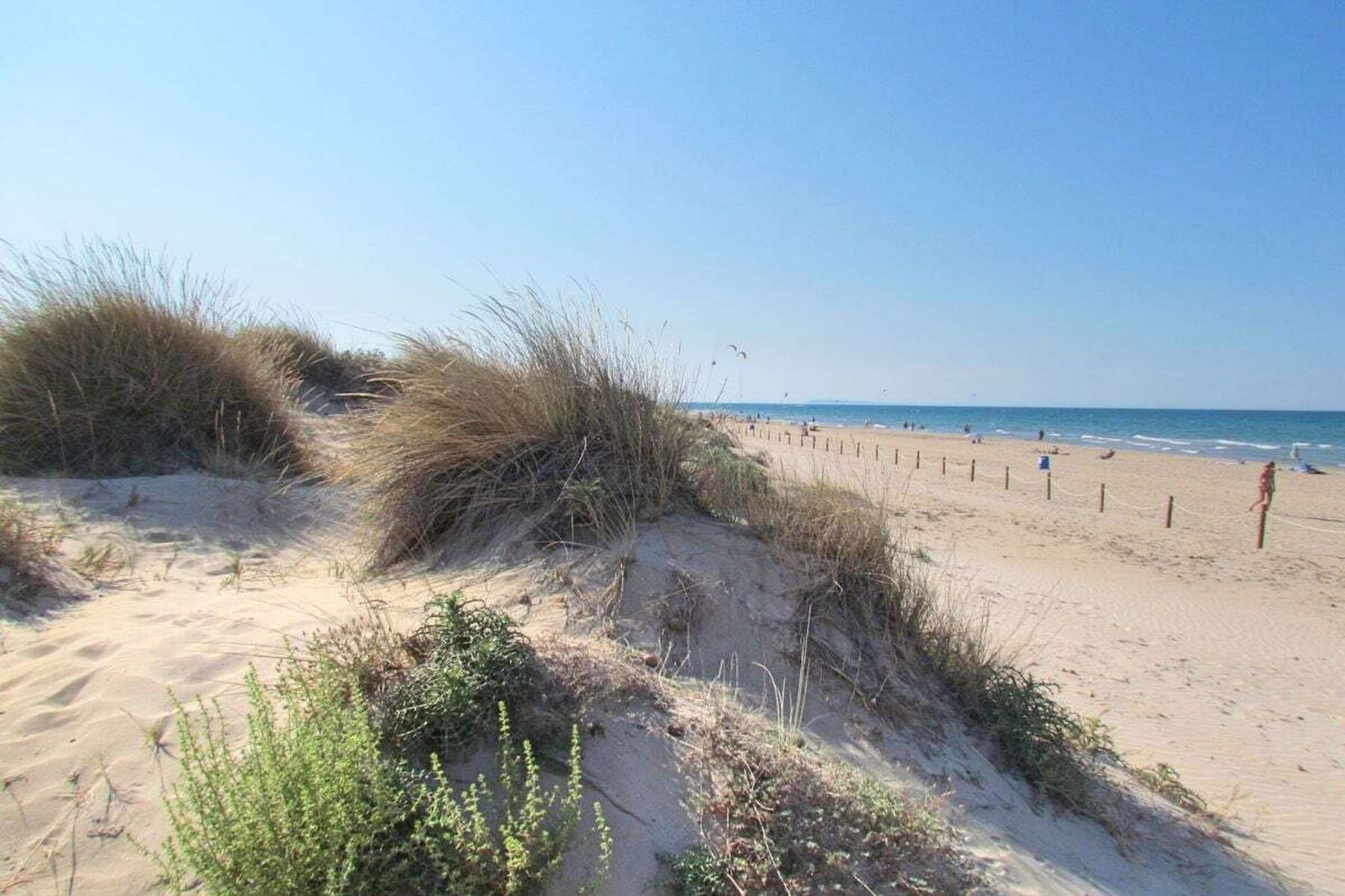 233815 - Gebiete Sommer 5 km