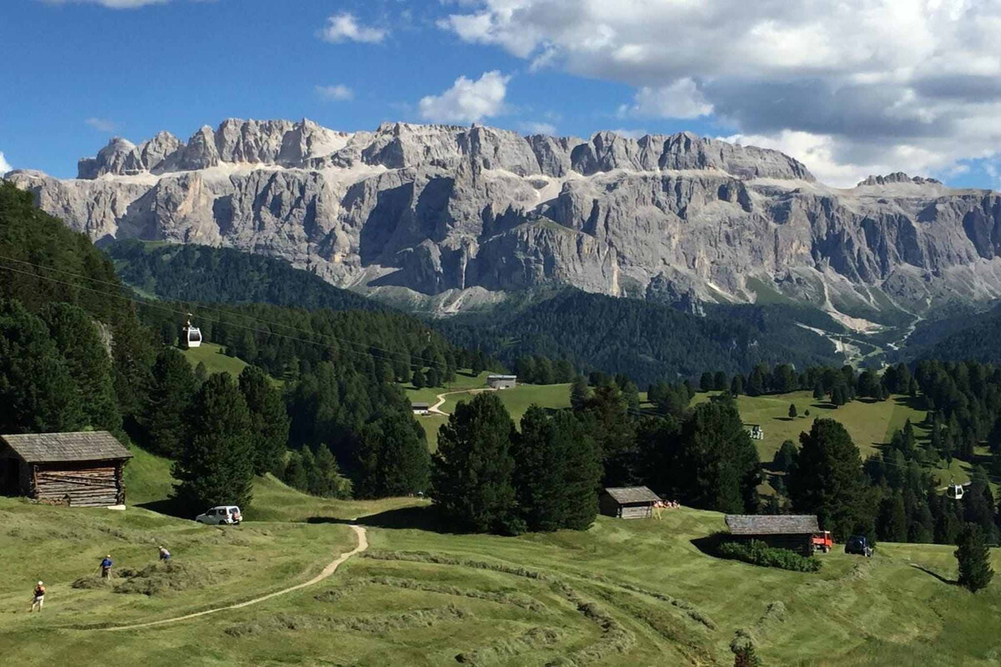 730990 - Areas within 5km in summer