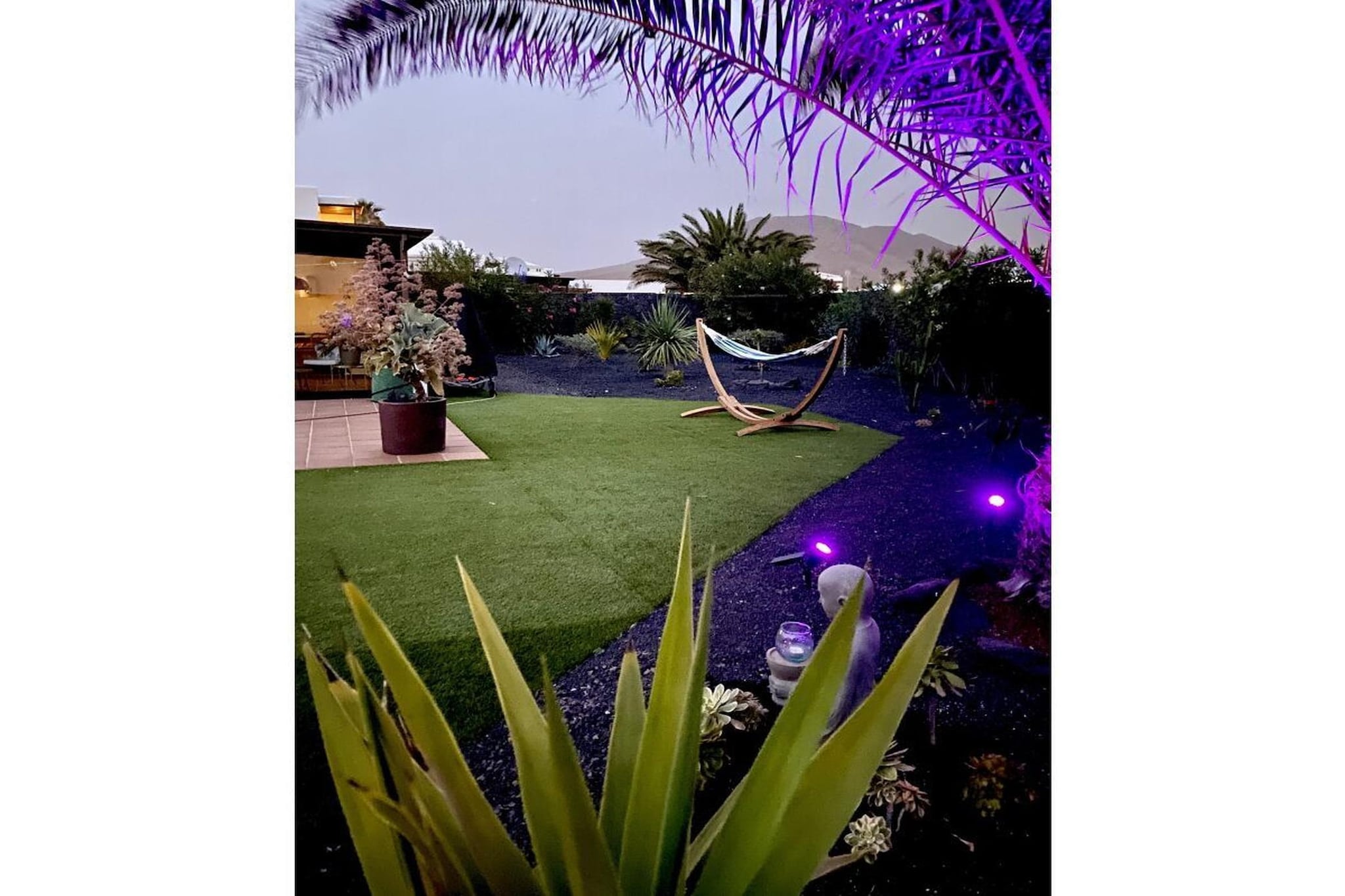 302479 - Gardens in summer