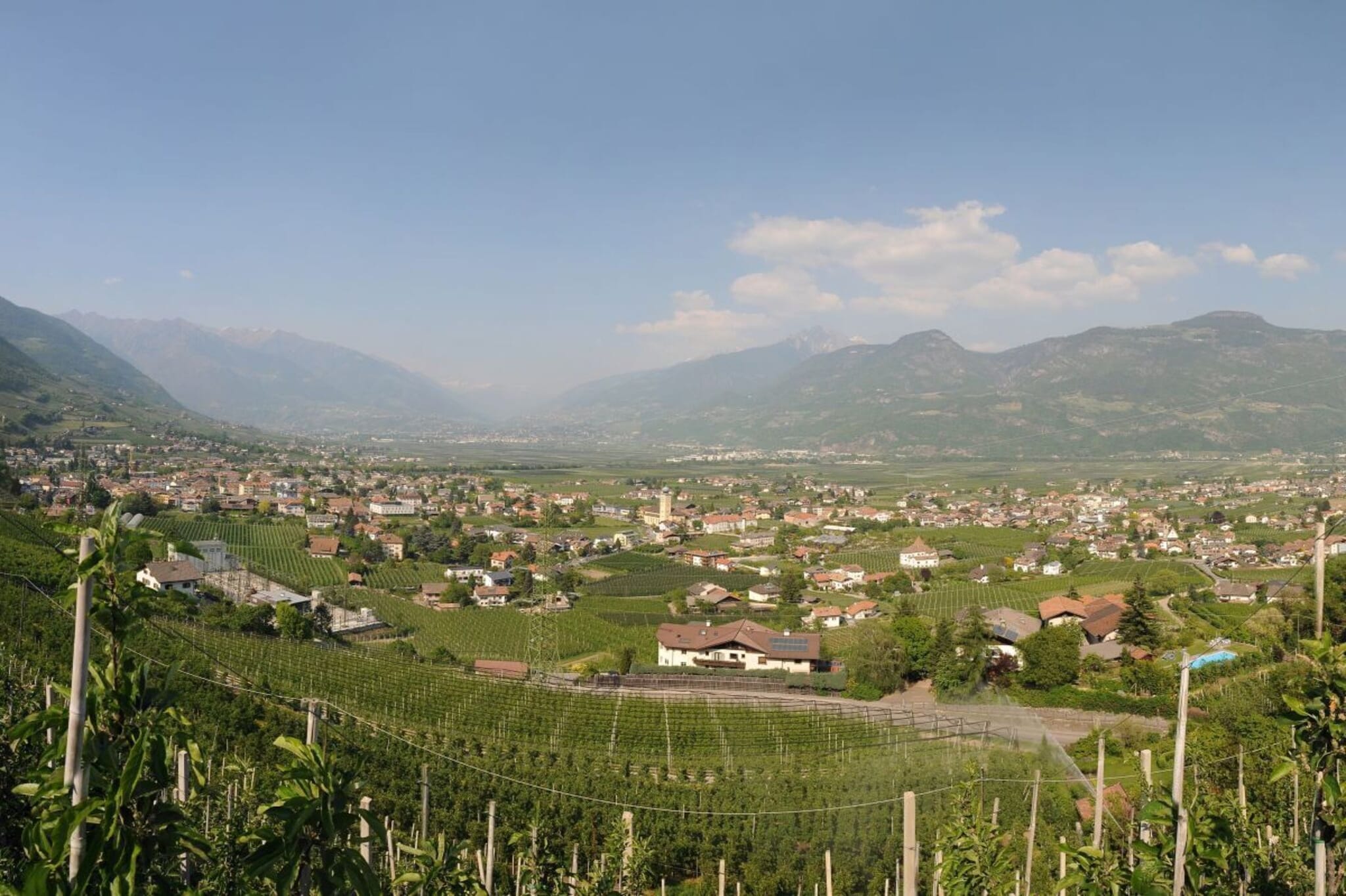 218571 - Vue d'été