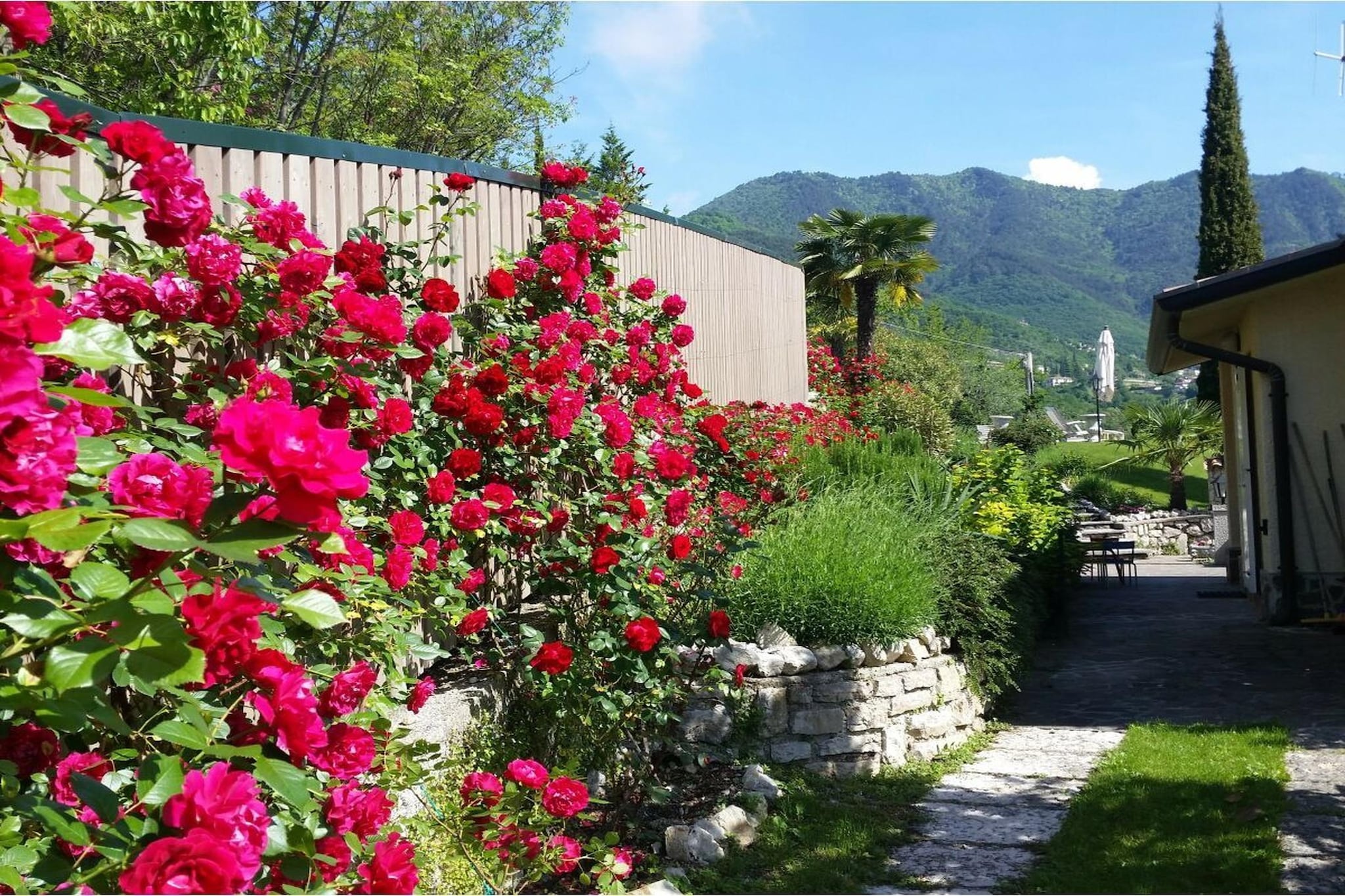 285536 - Garten Sommer
