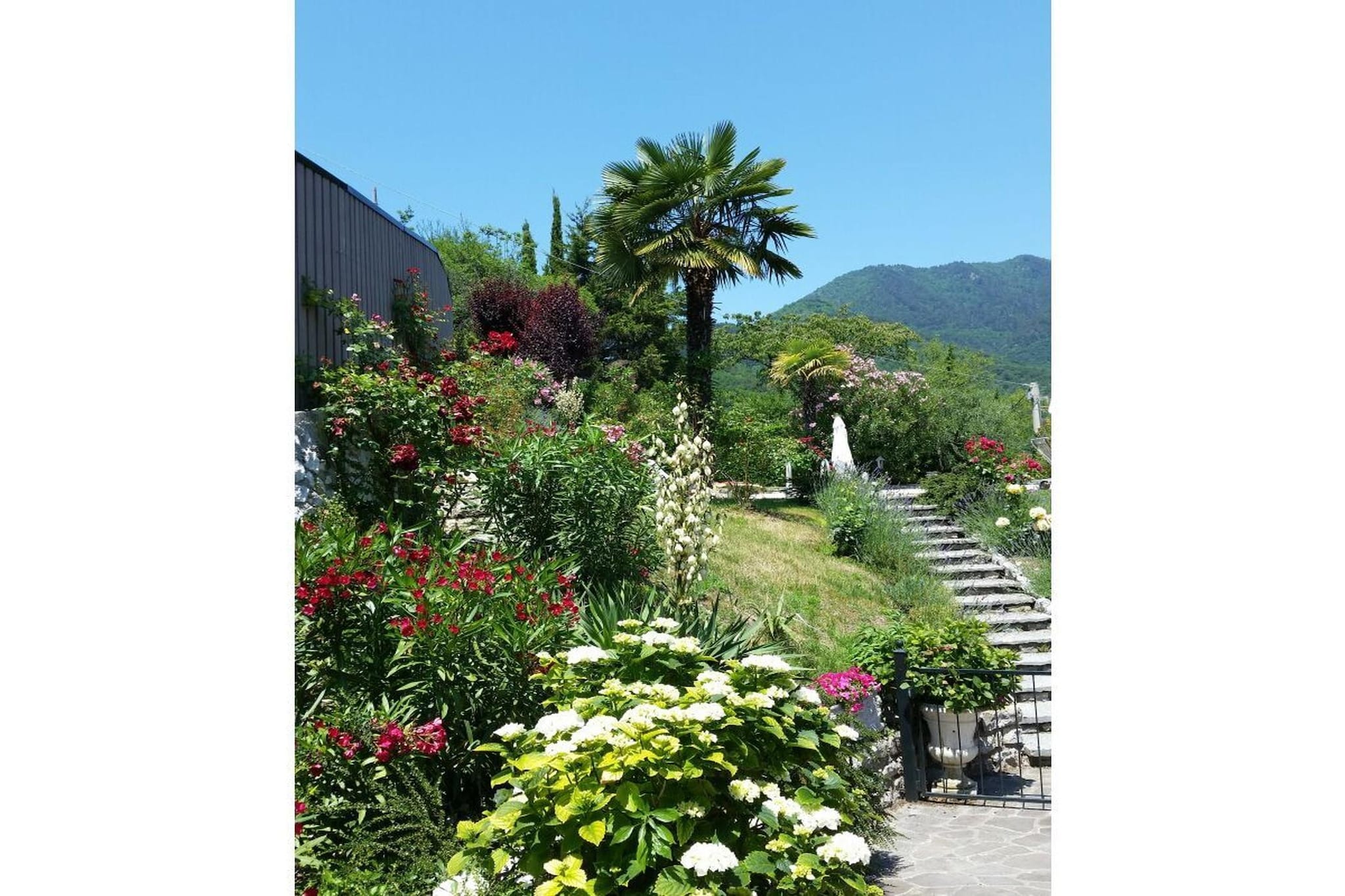285536 - Garten Sommer