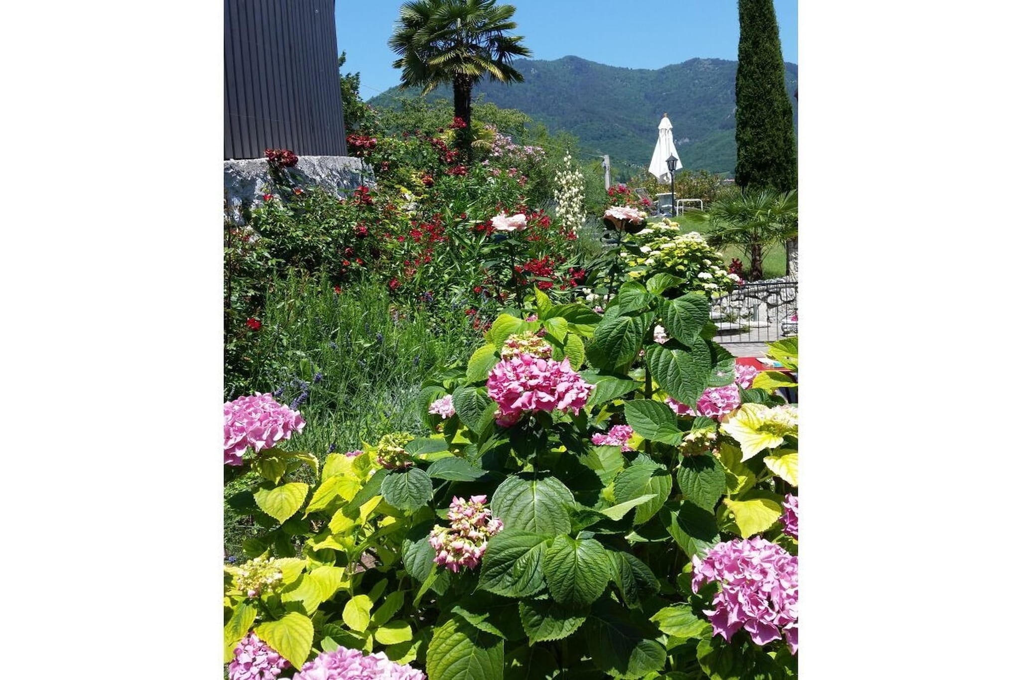285536 - Garten Sommer