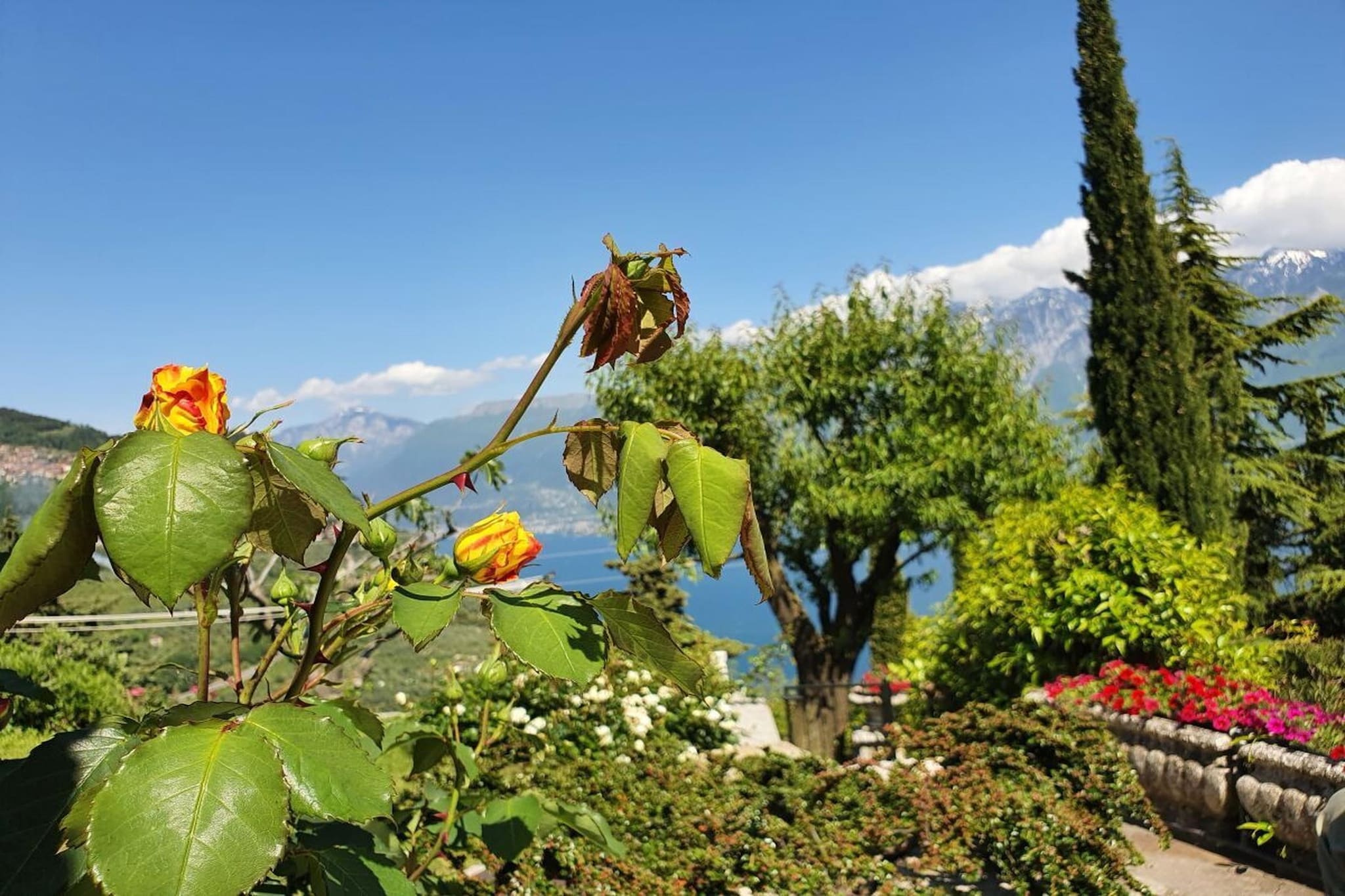 285536 - Garten Sommer