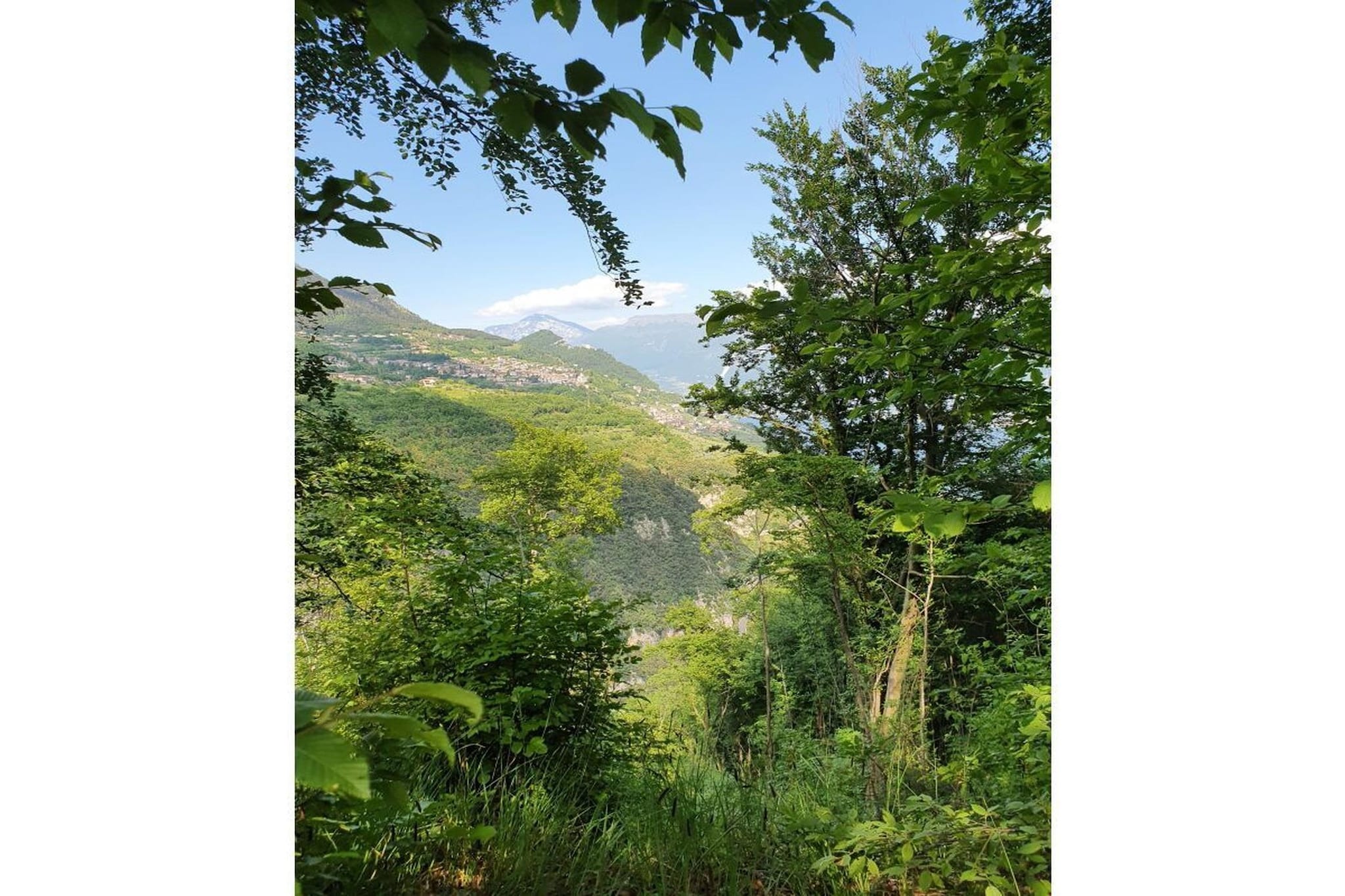 285536 - Gebiete Sommer 5 km