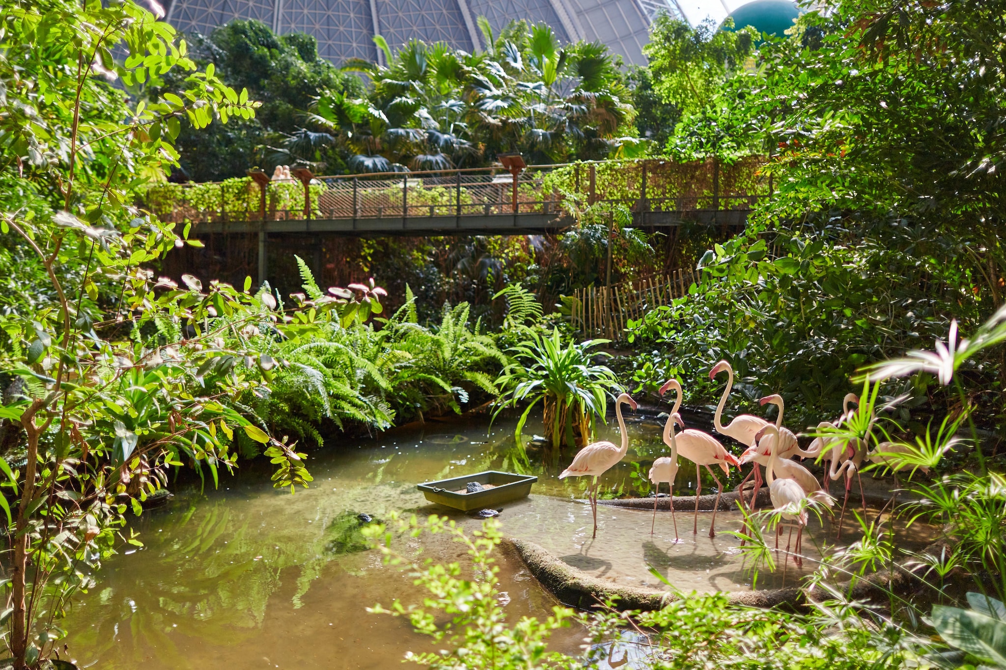 Woodland Home 4er - Parkfaciliteiten