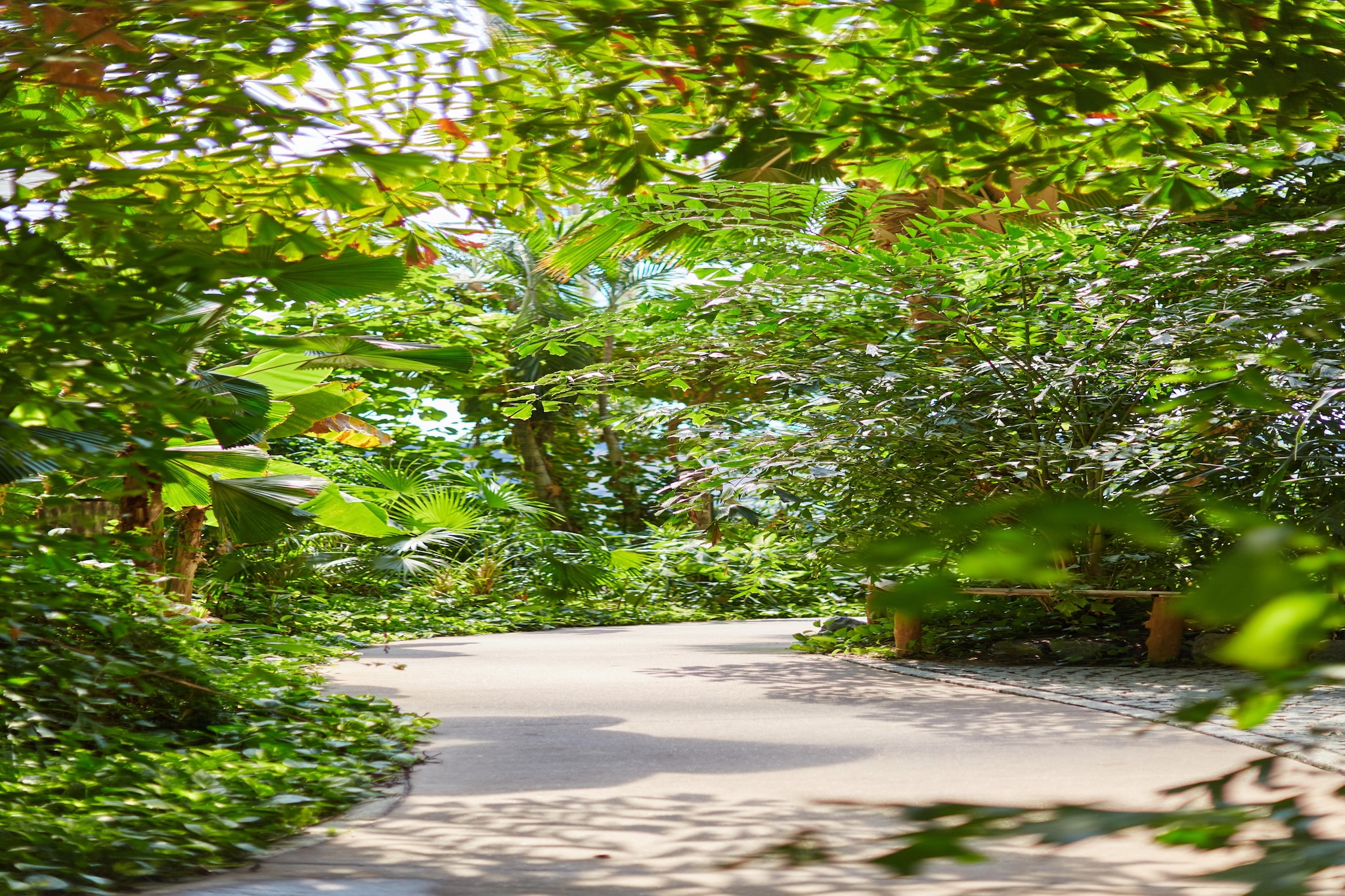 Woodland Home 4er - Parkfaciliteiten