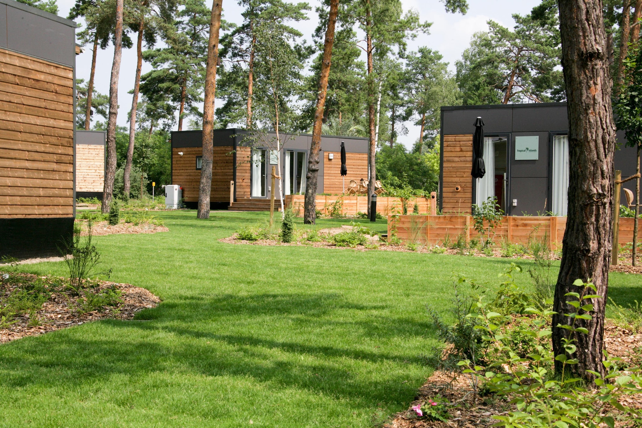 Woodland Home 4er - Buitenkant zomer