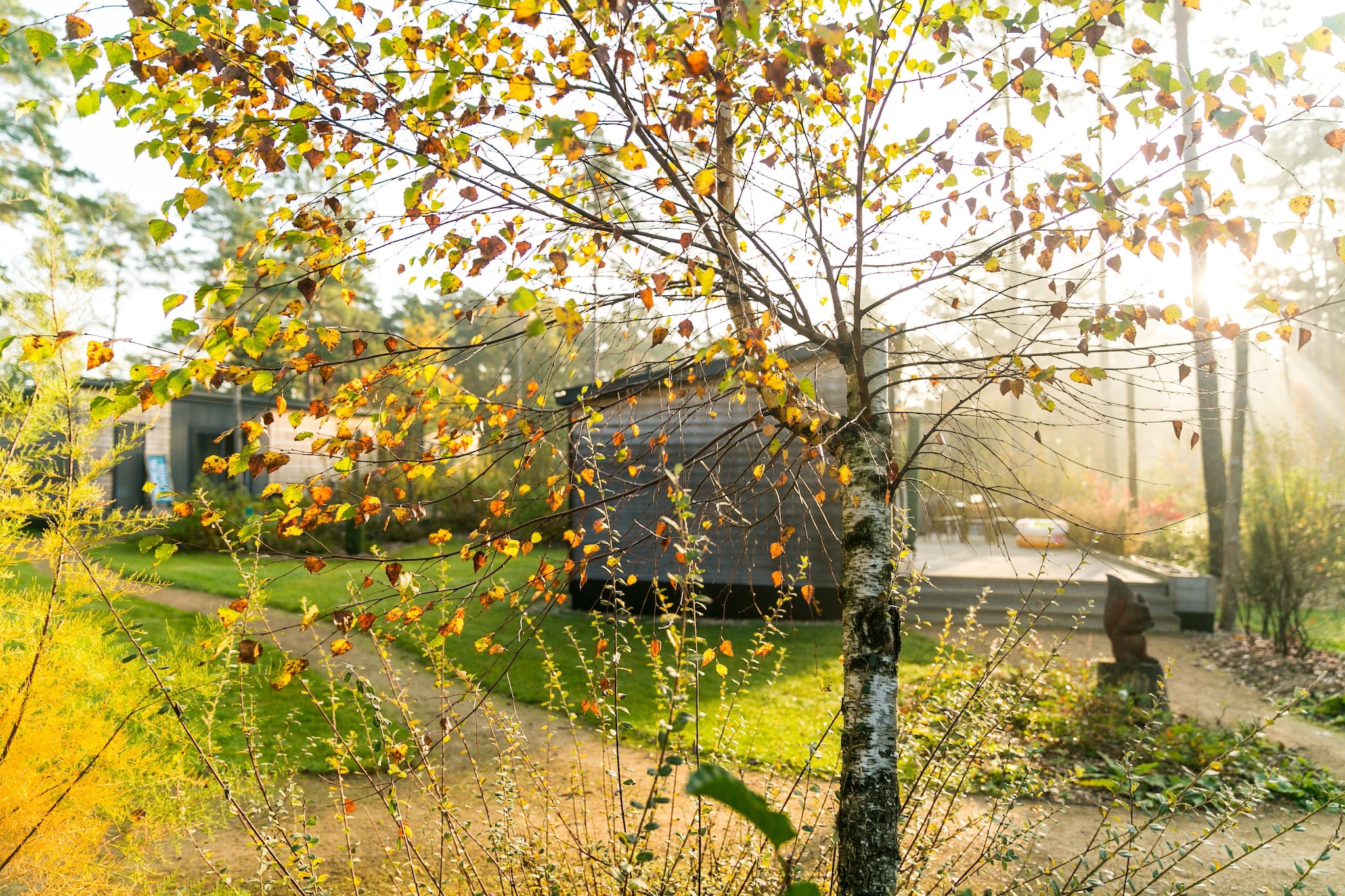 Woodland Home 4er - Buitenkant zomer
