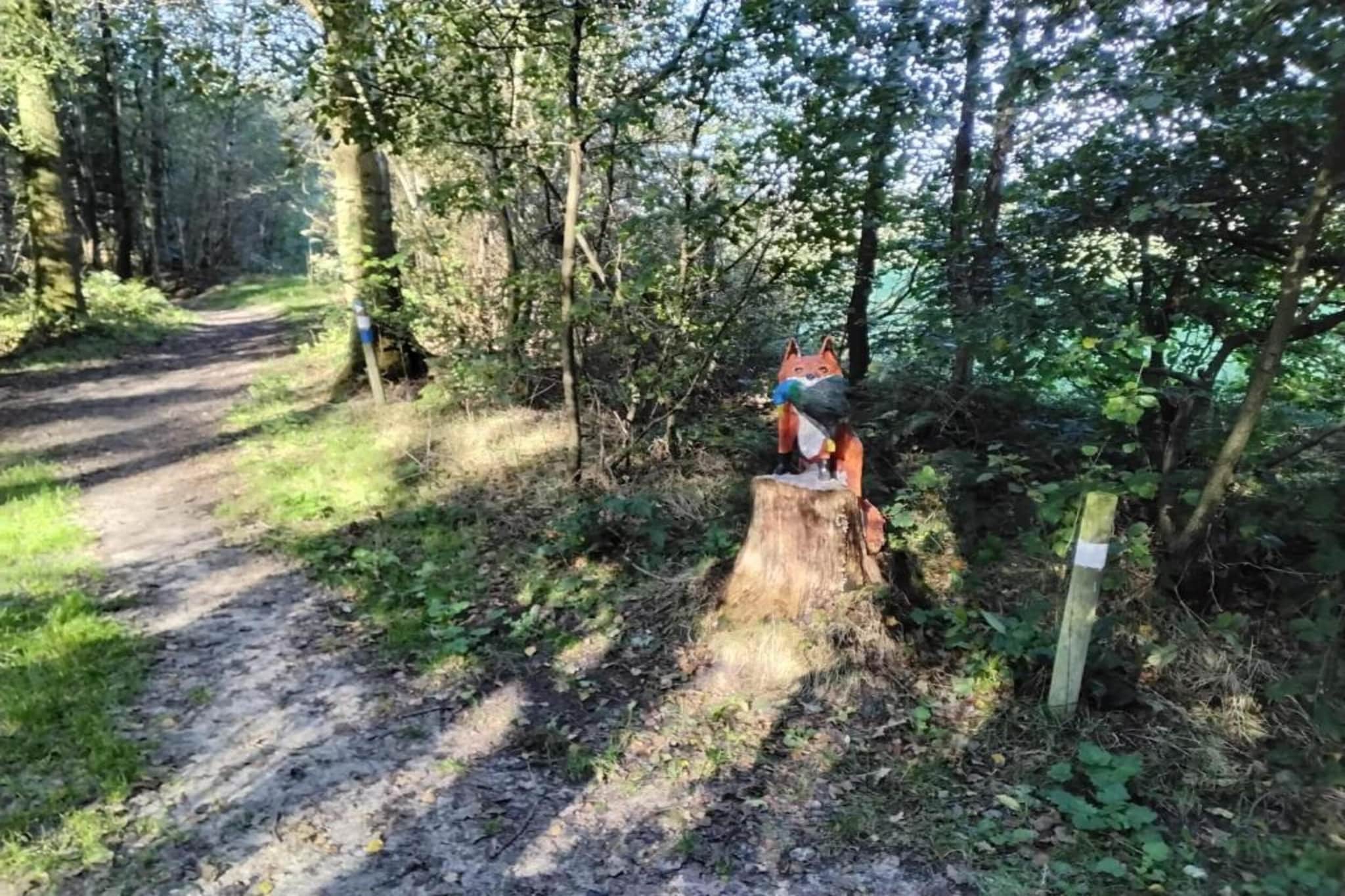 Meer van Eysinga - Gebieden zomer 20km