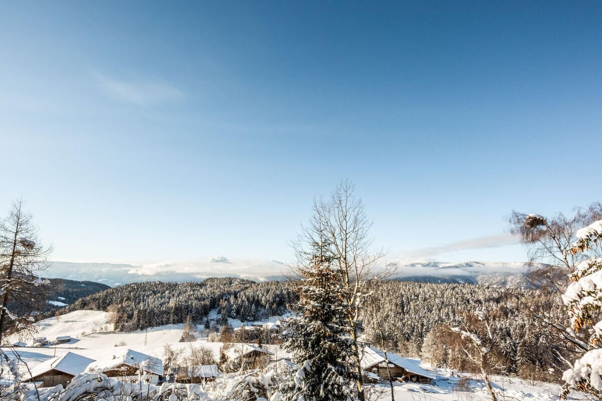 239750 - Exterieur winter