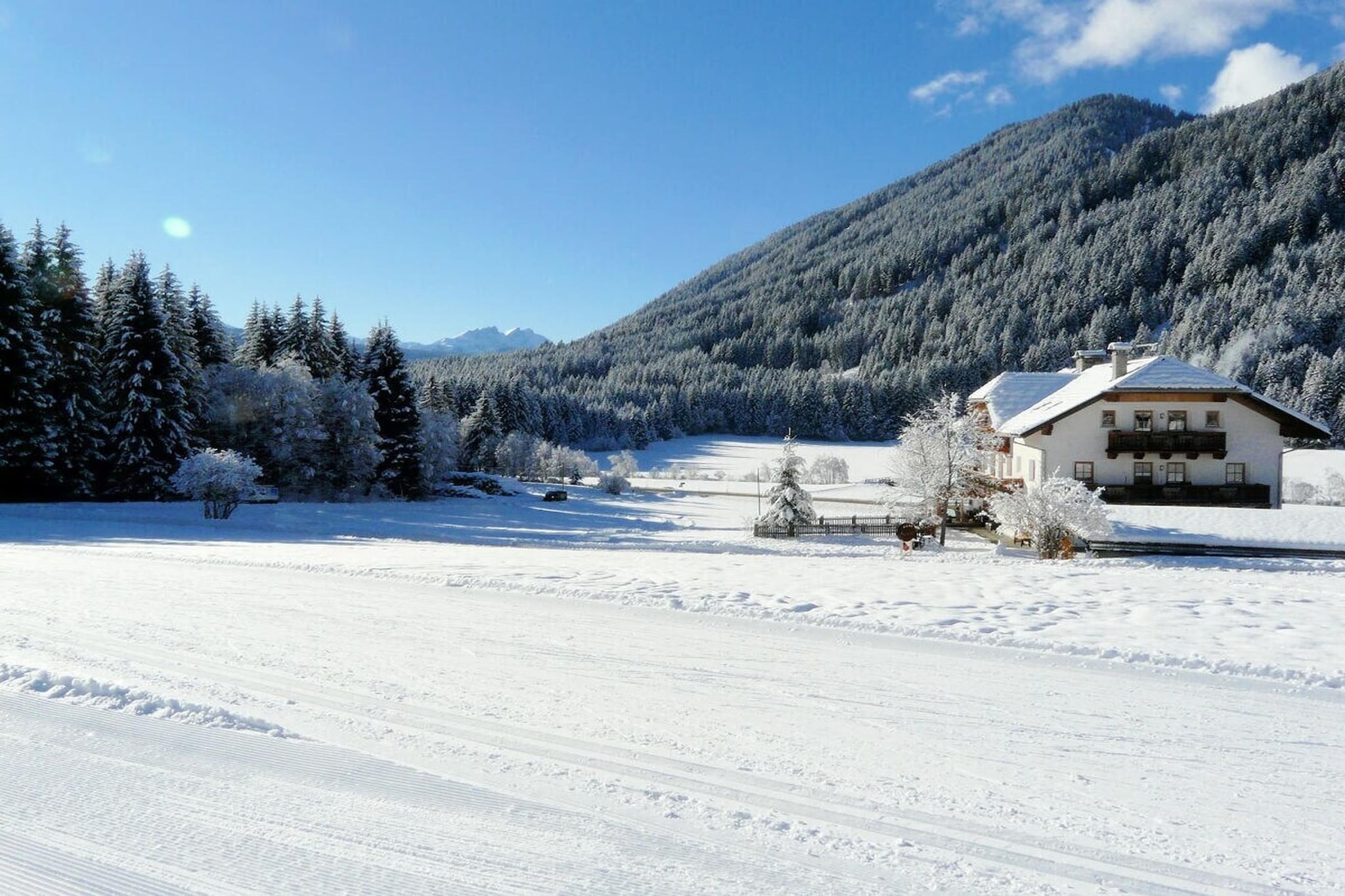 264663 - Gebied winter 1km