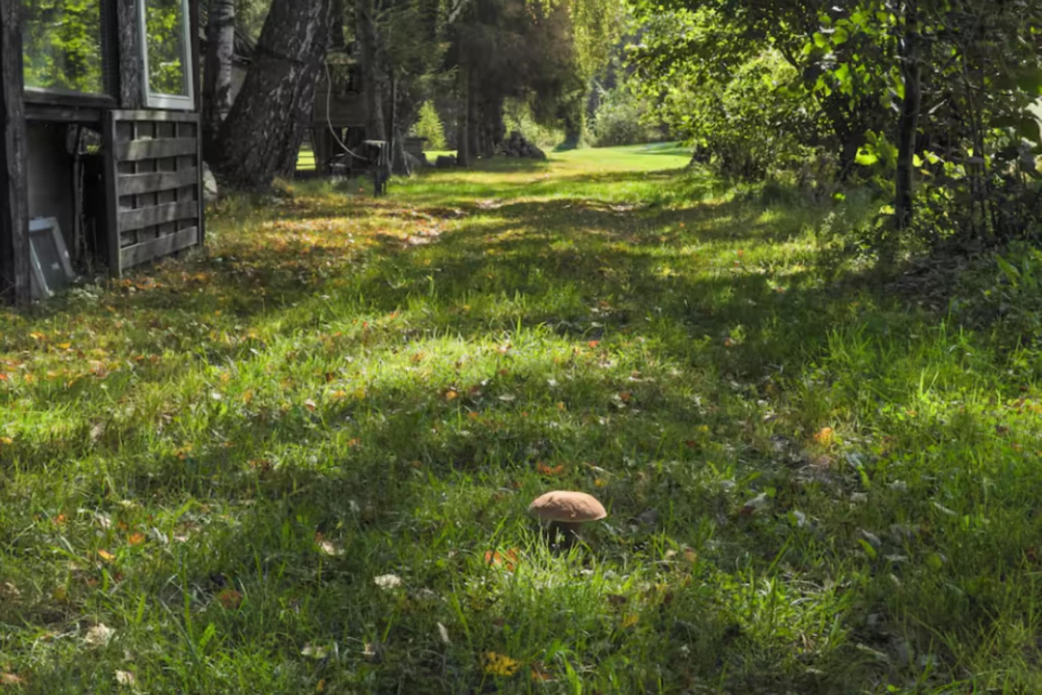 Garden Summer