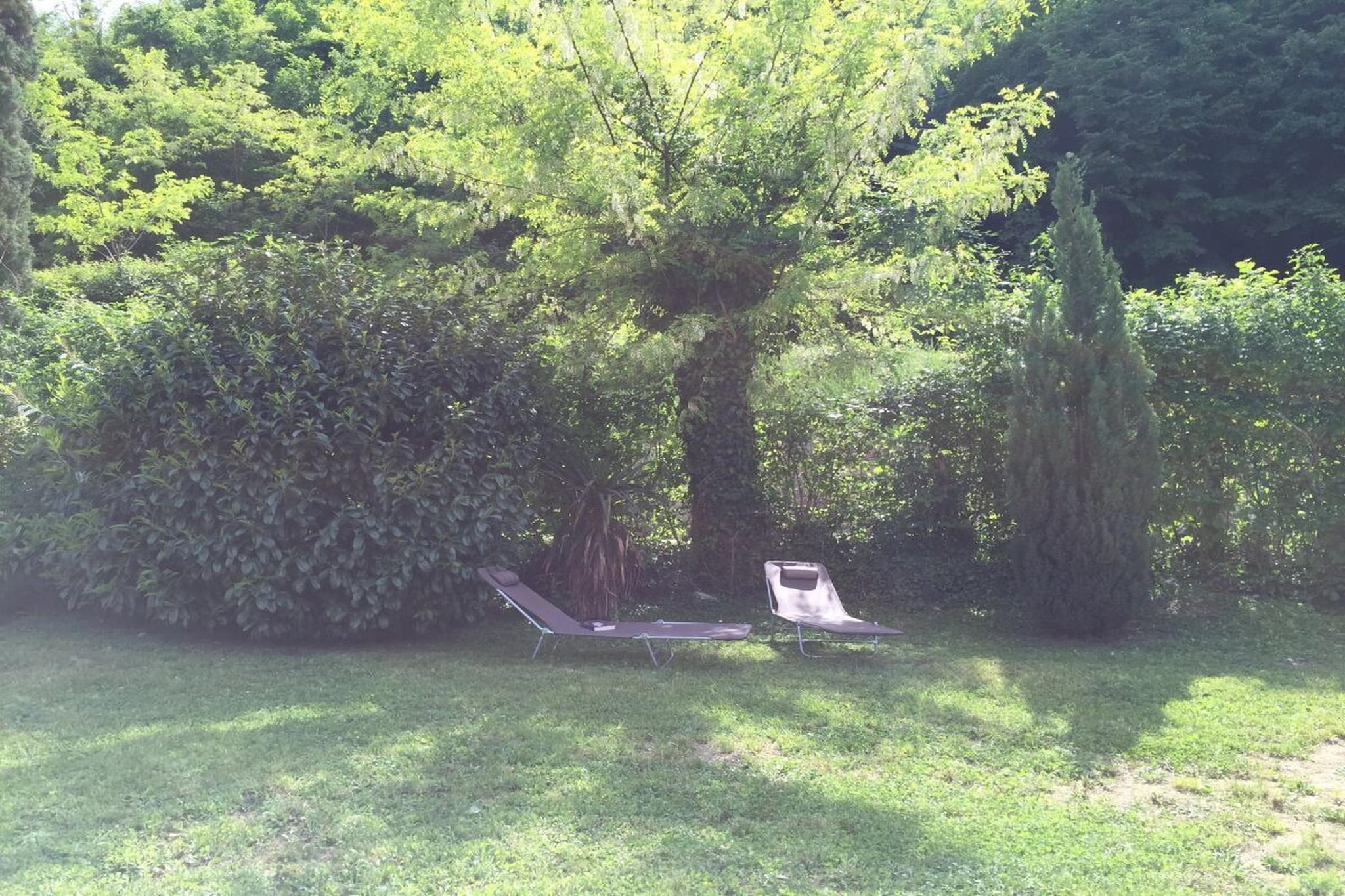 104878 - Gardens in summer