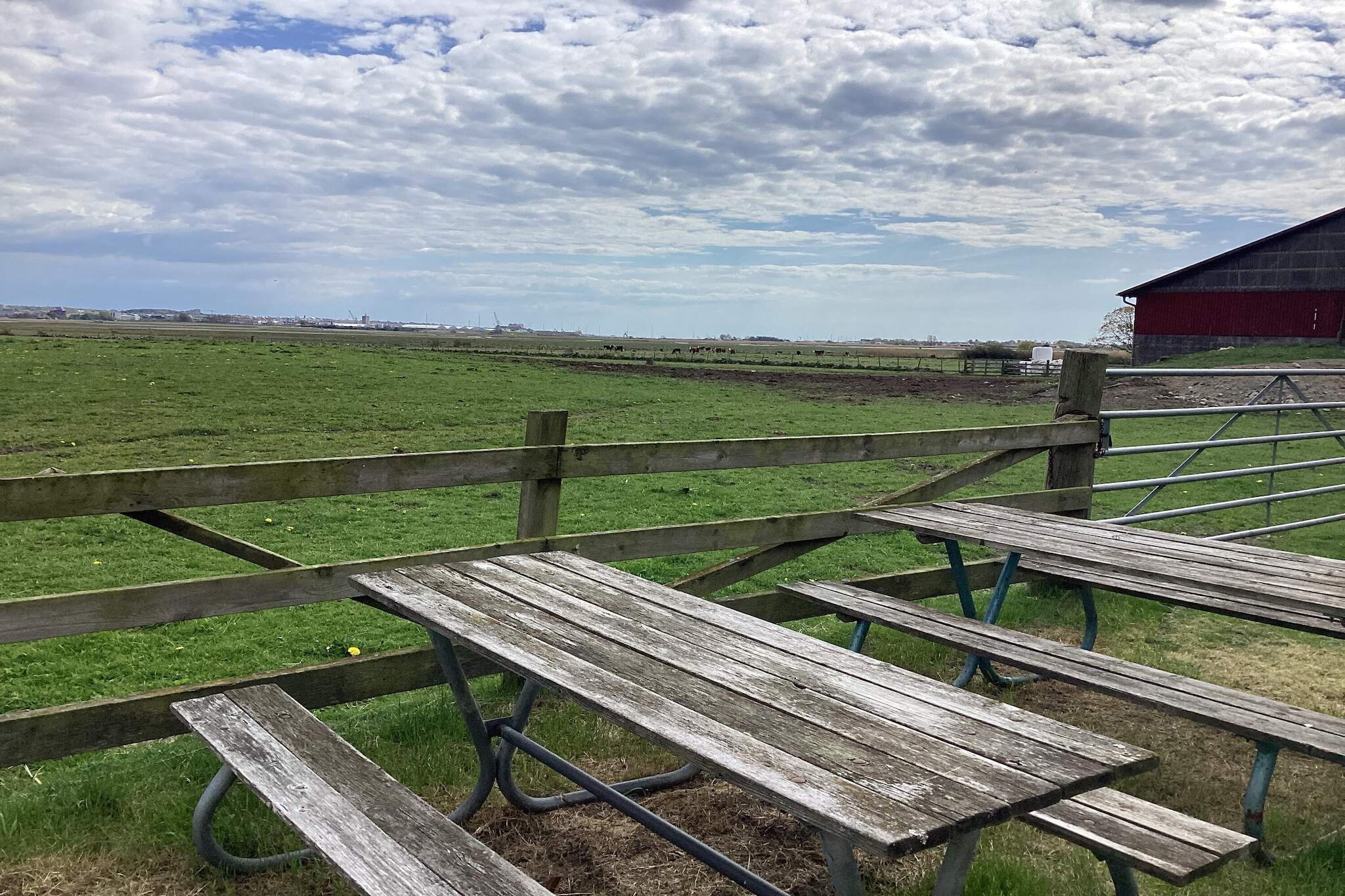 4 sterren vakantie huis in VARBERG - Buitenlucht