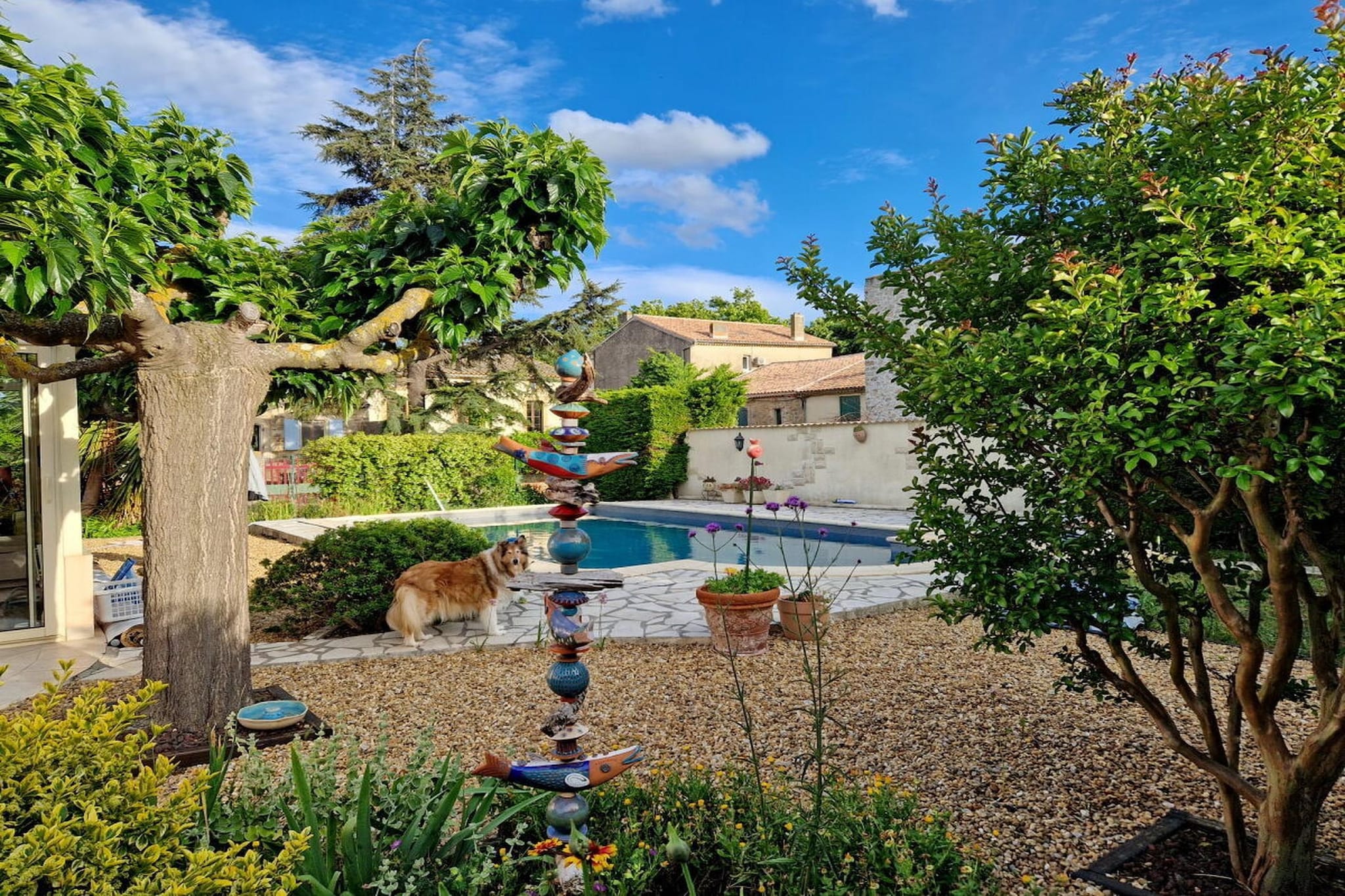 636508 - Piscine