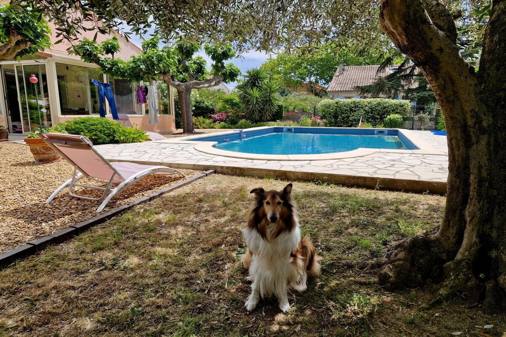 636508 - Piscine
