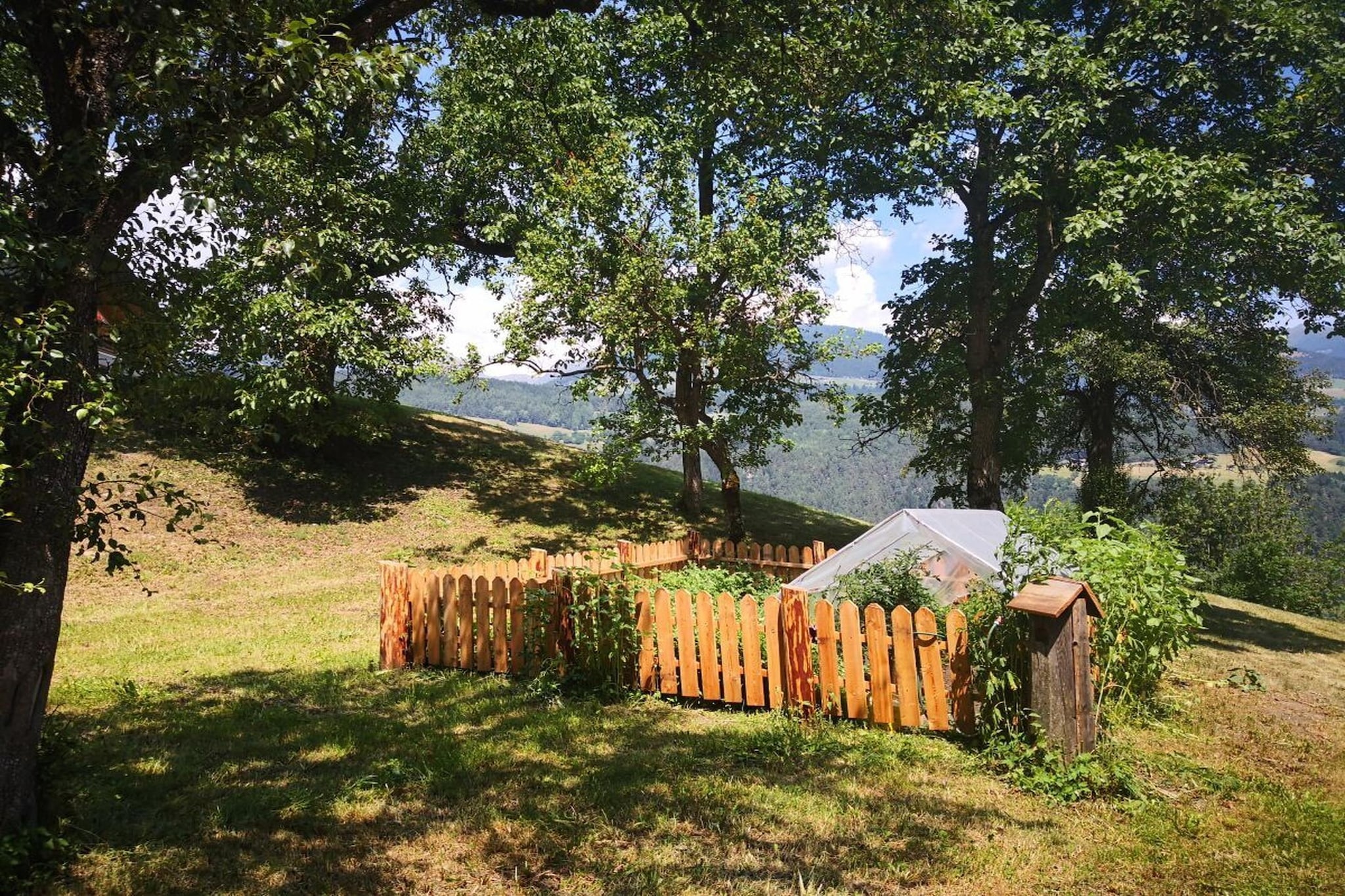 64776 - Buitenkant zomer