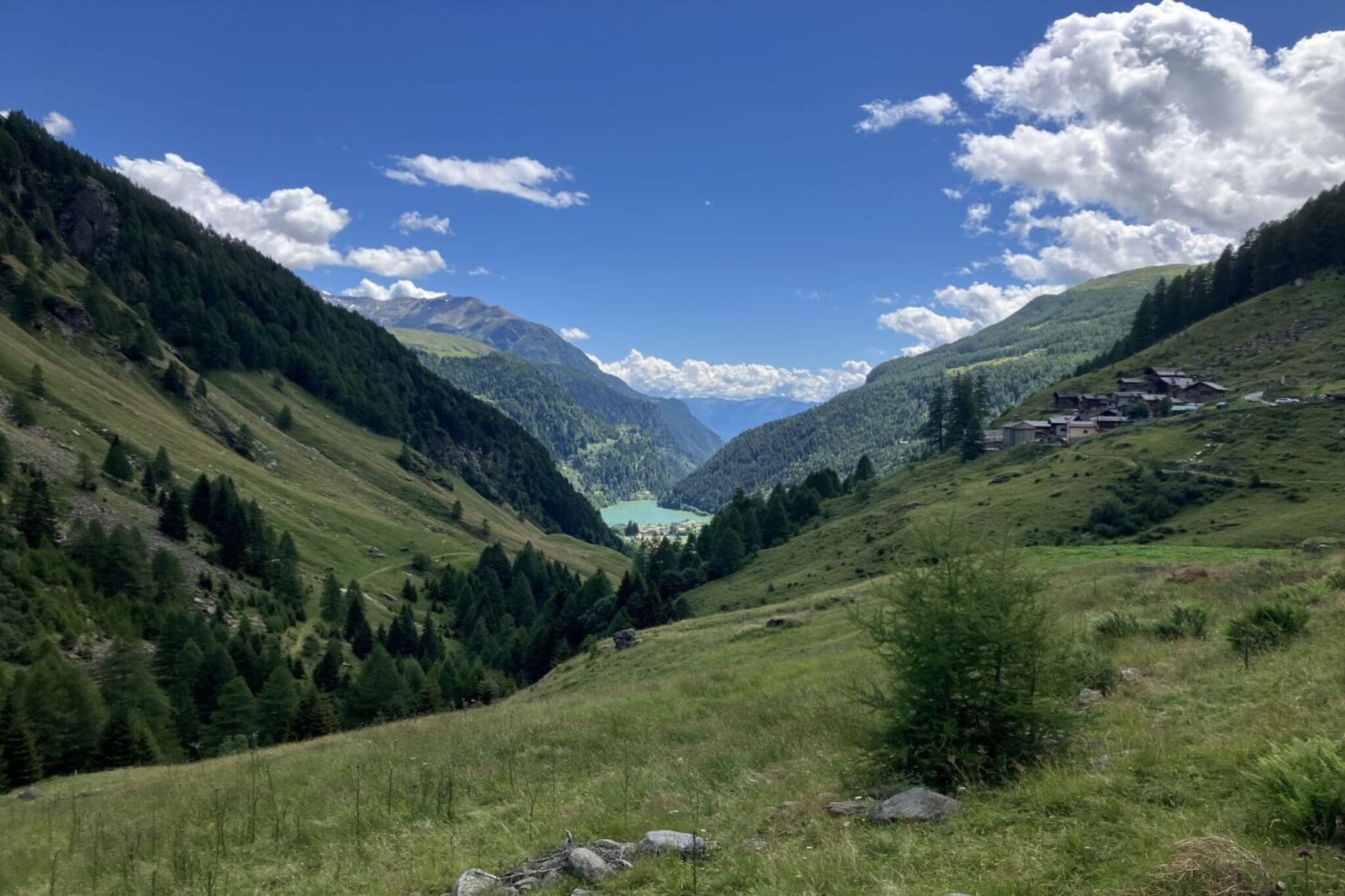 View Summer