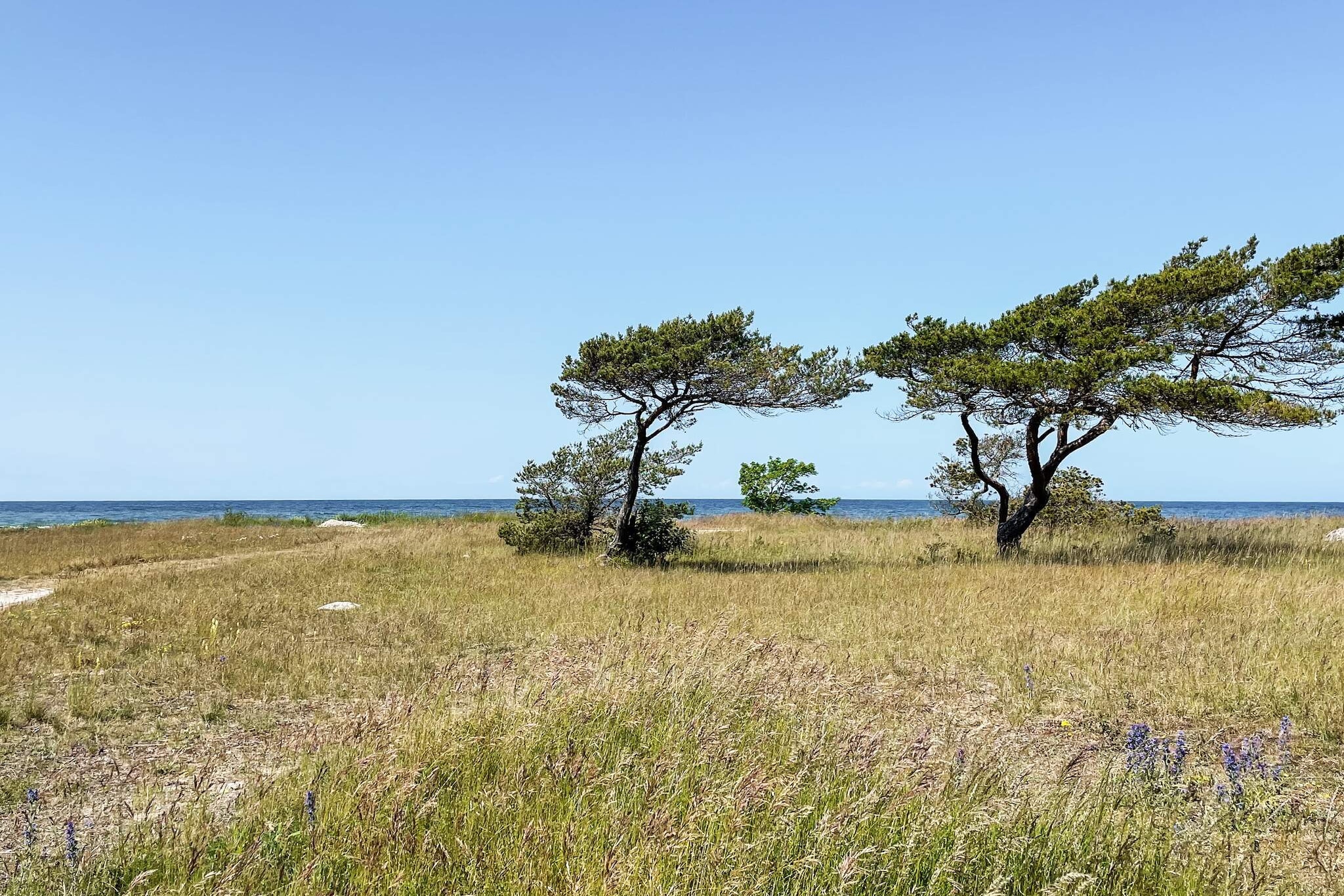 Lush holiday home in Visby - Untagged