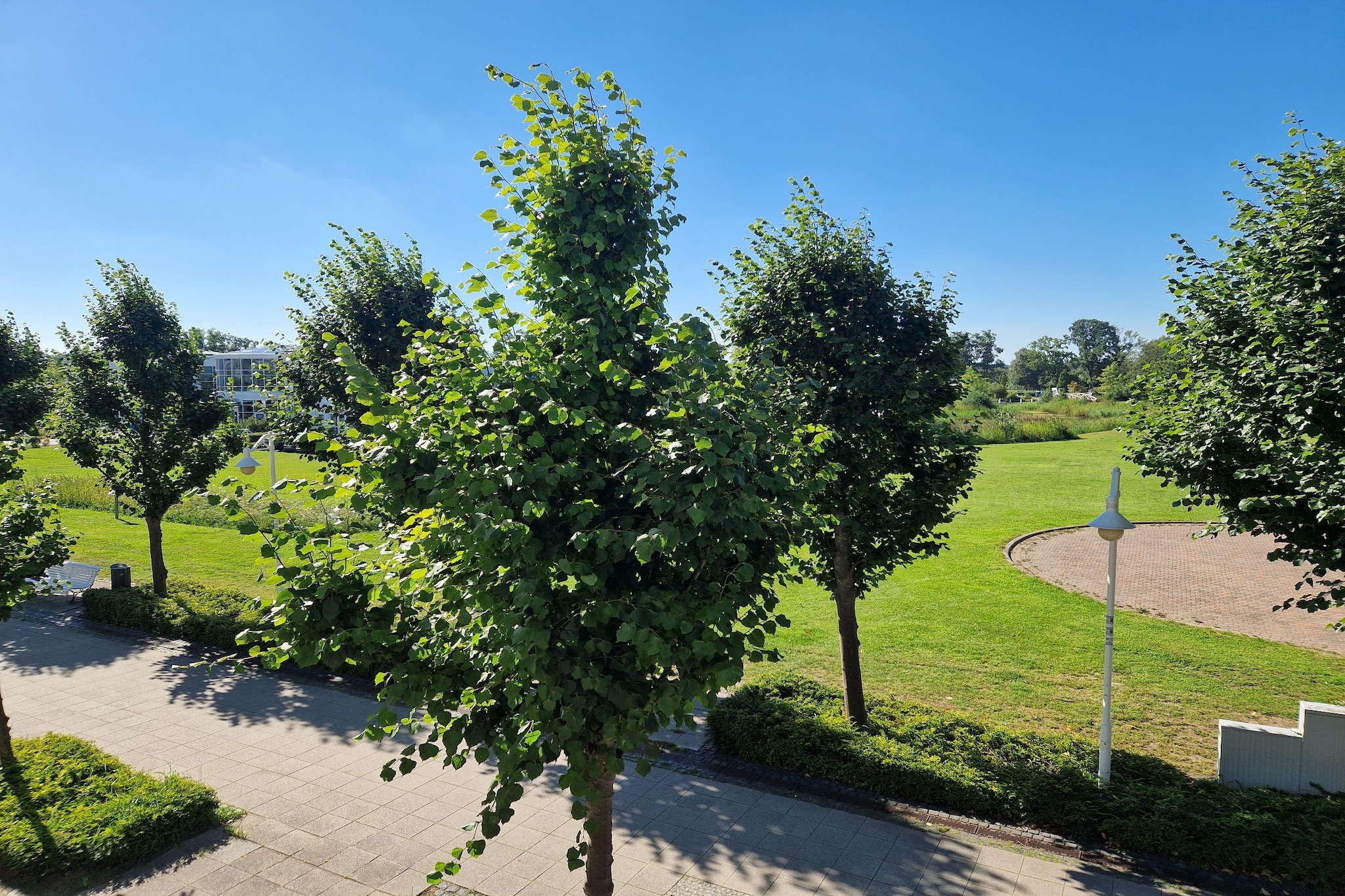 Typ Q - Fewo Nr 253 im Seepark Sellin - Uitzicht zomer