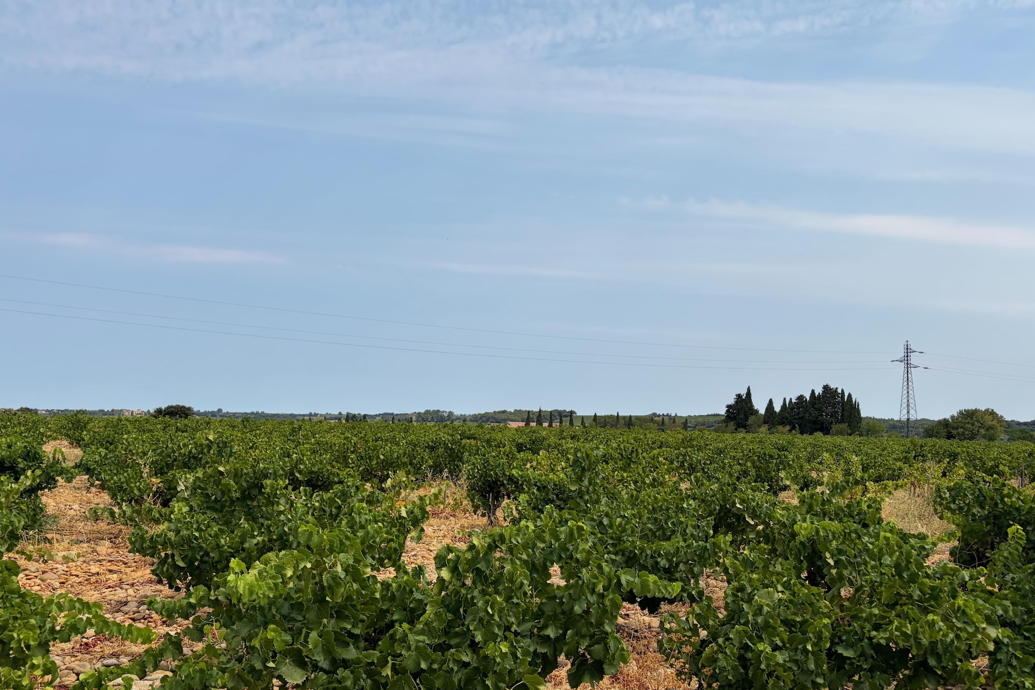 Sorgue 9-4 - Gebiete Sommer 5 km