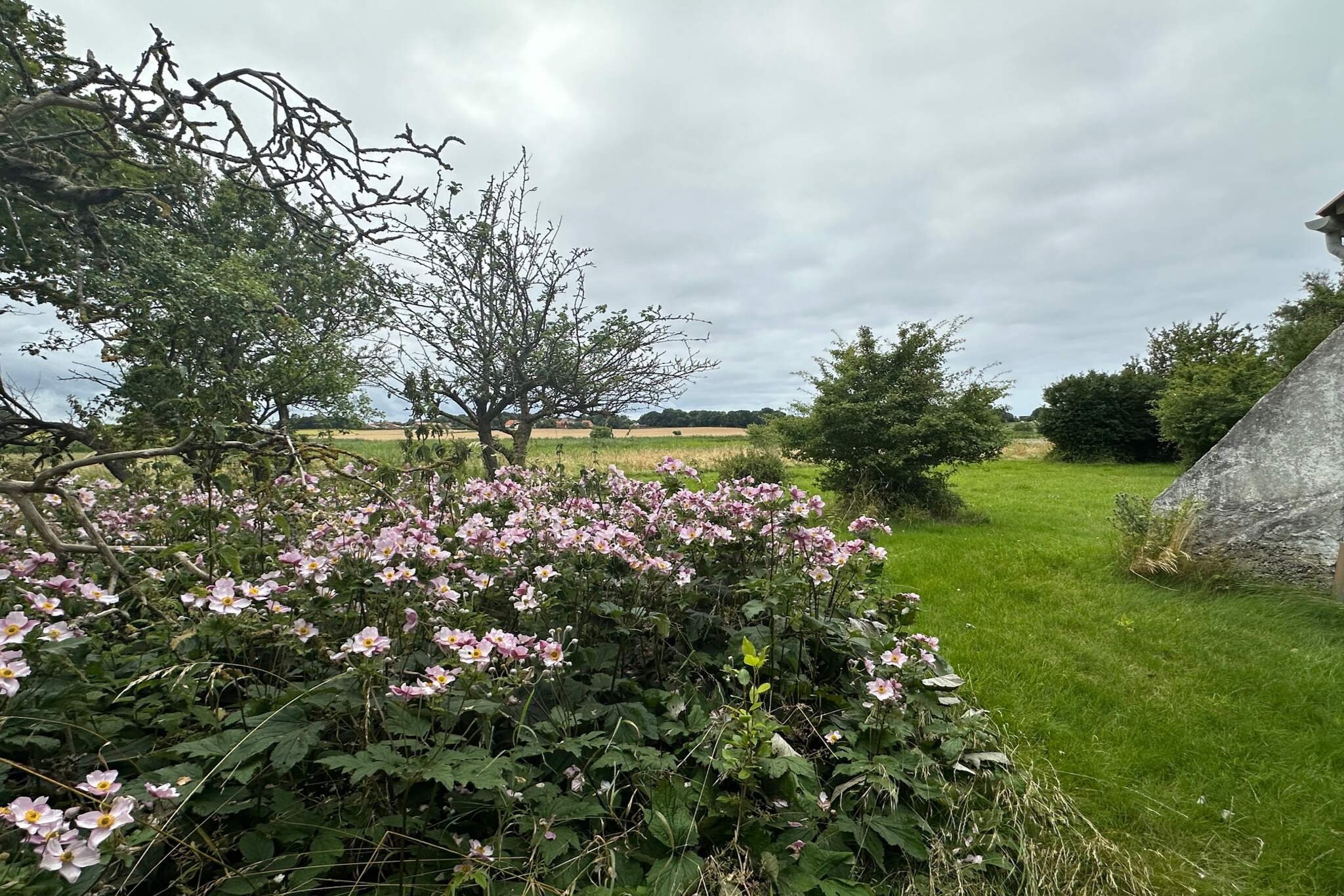 4 etoiles maison de vacances a Sejerø - Vue