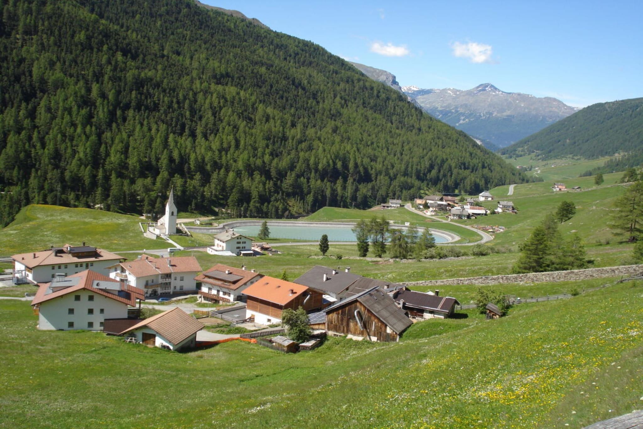 516626 - Gebieden zomer 1km