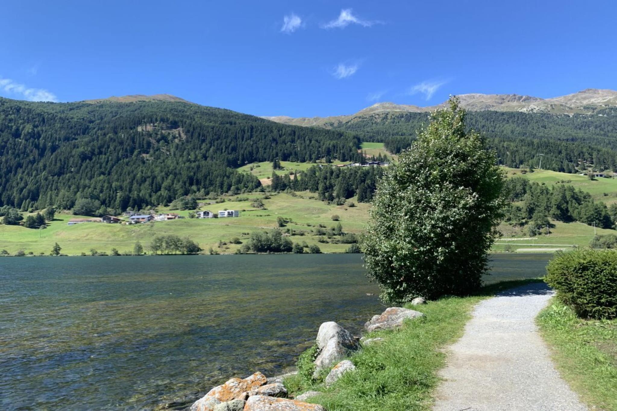 690053 - Gebieden zomer 5km