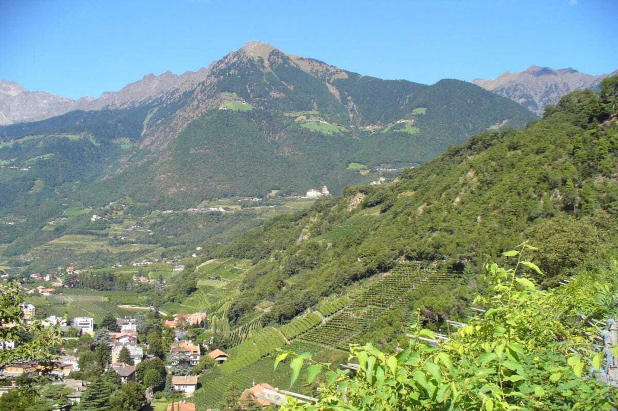 116448 - Gebiete Sommer 5 km