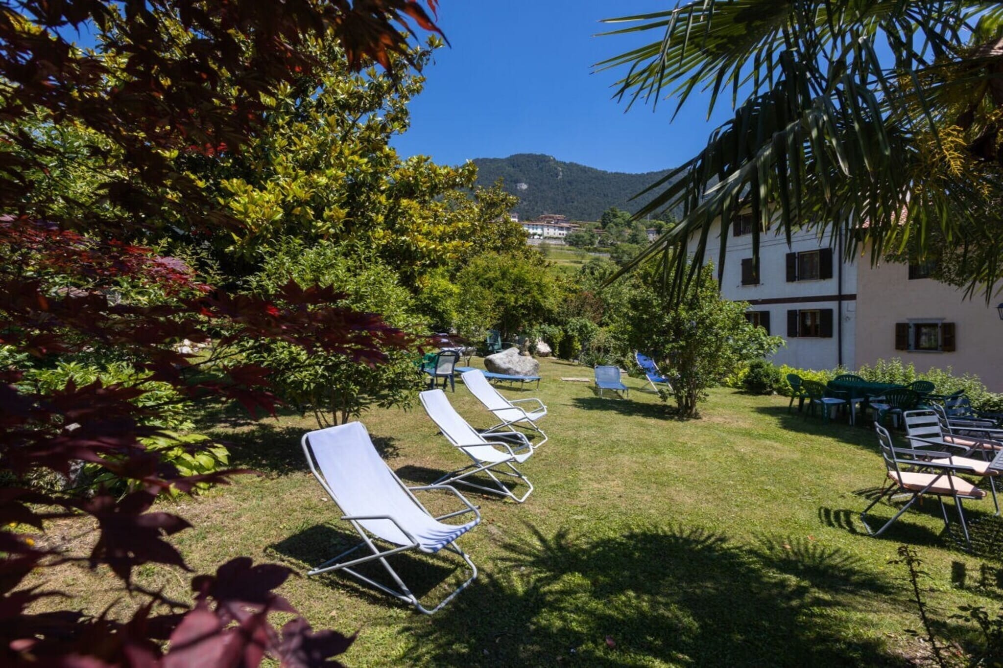 546249 - Garten Sommer