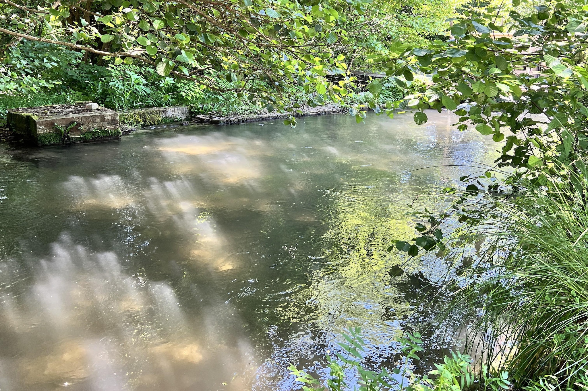 Jolie maison de vacances - Gebieden zomer 1km