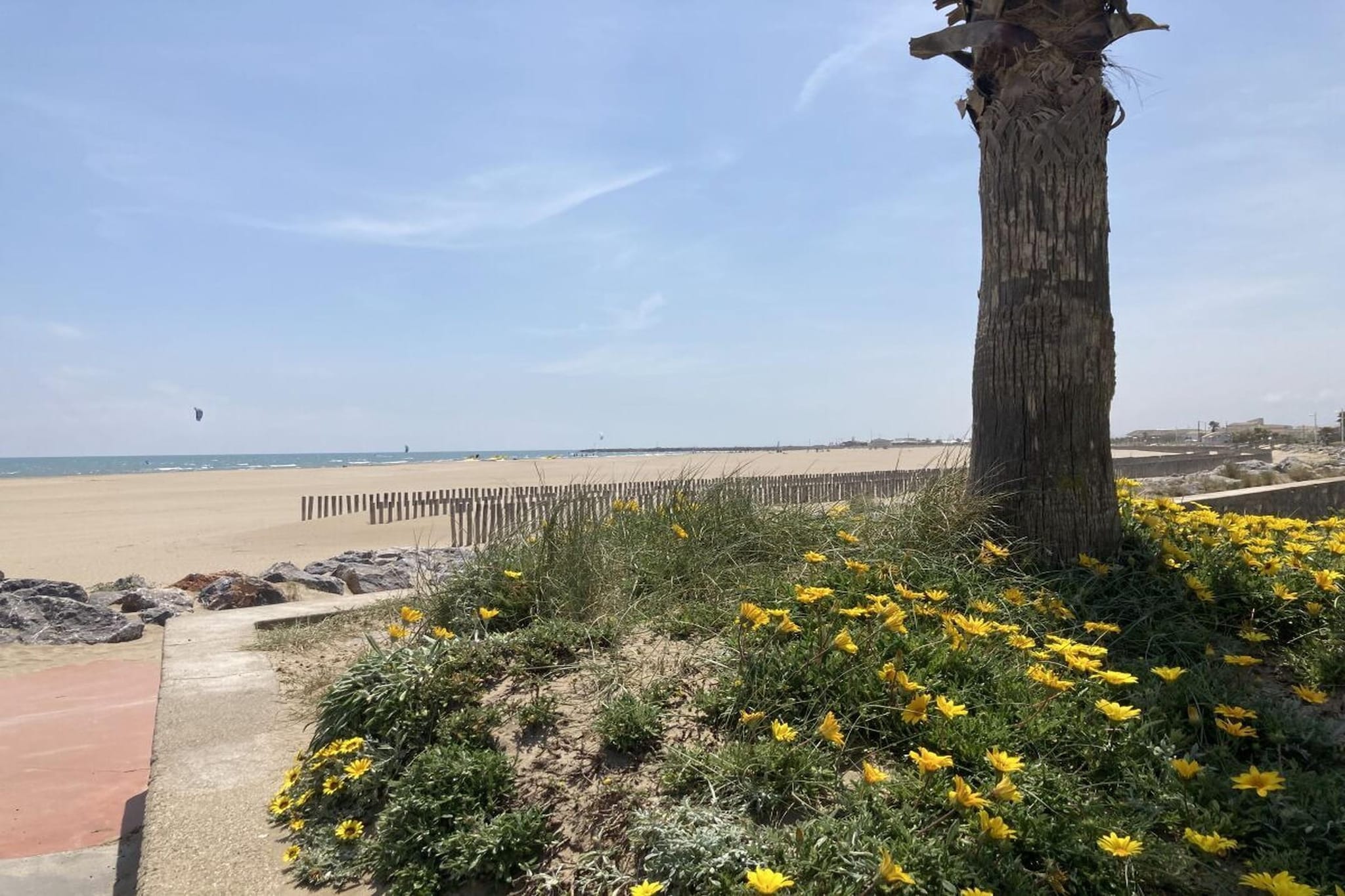 162694 - Gebieden zomer 1km
