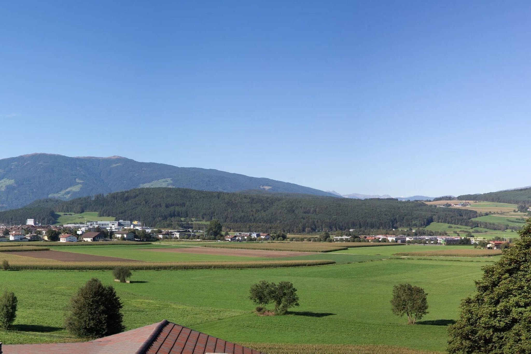 162861 - Garten Sommer