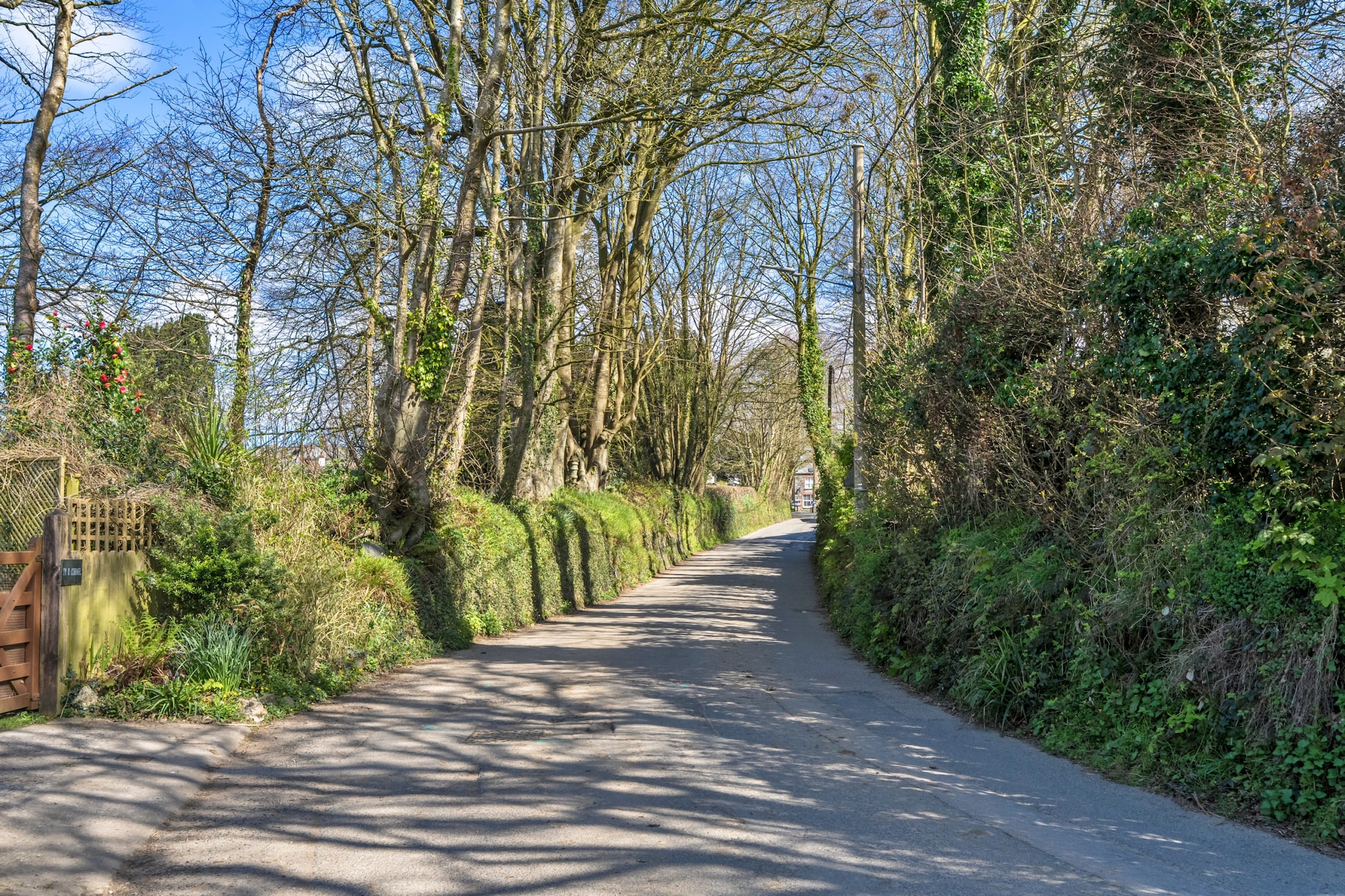 The Rectory Nook Annexe - Gebieden zomer 5km