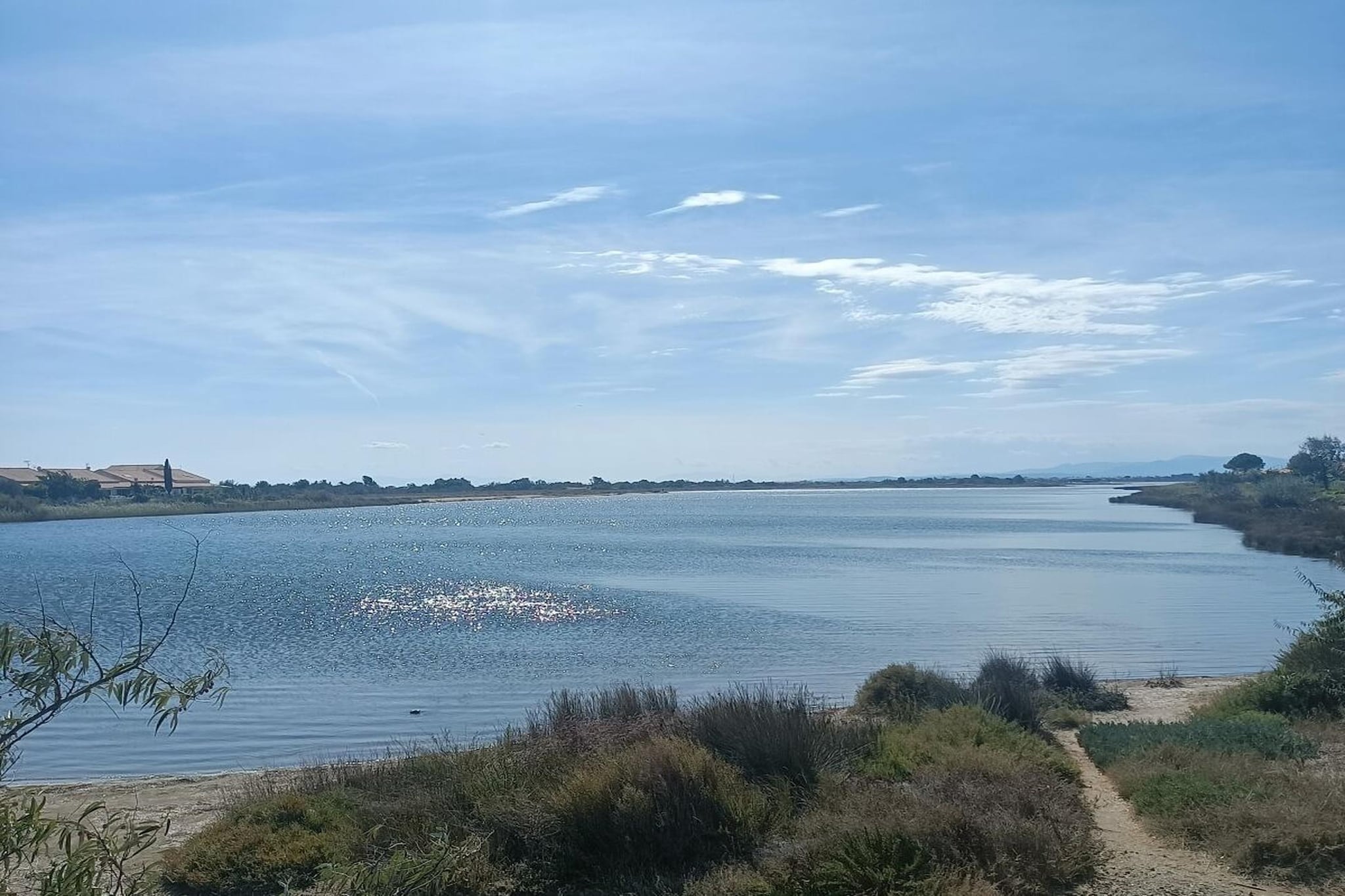 122450 - Gebieden zomer 5km