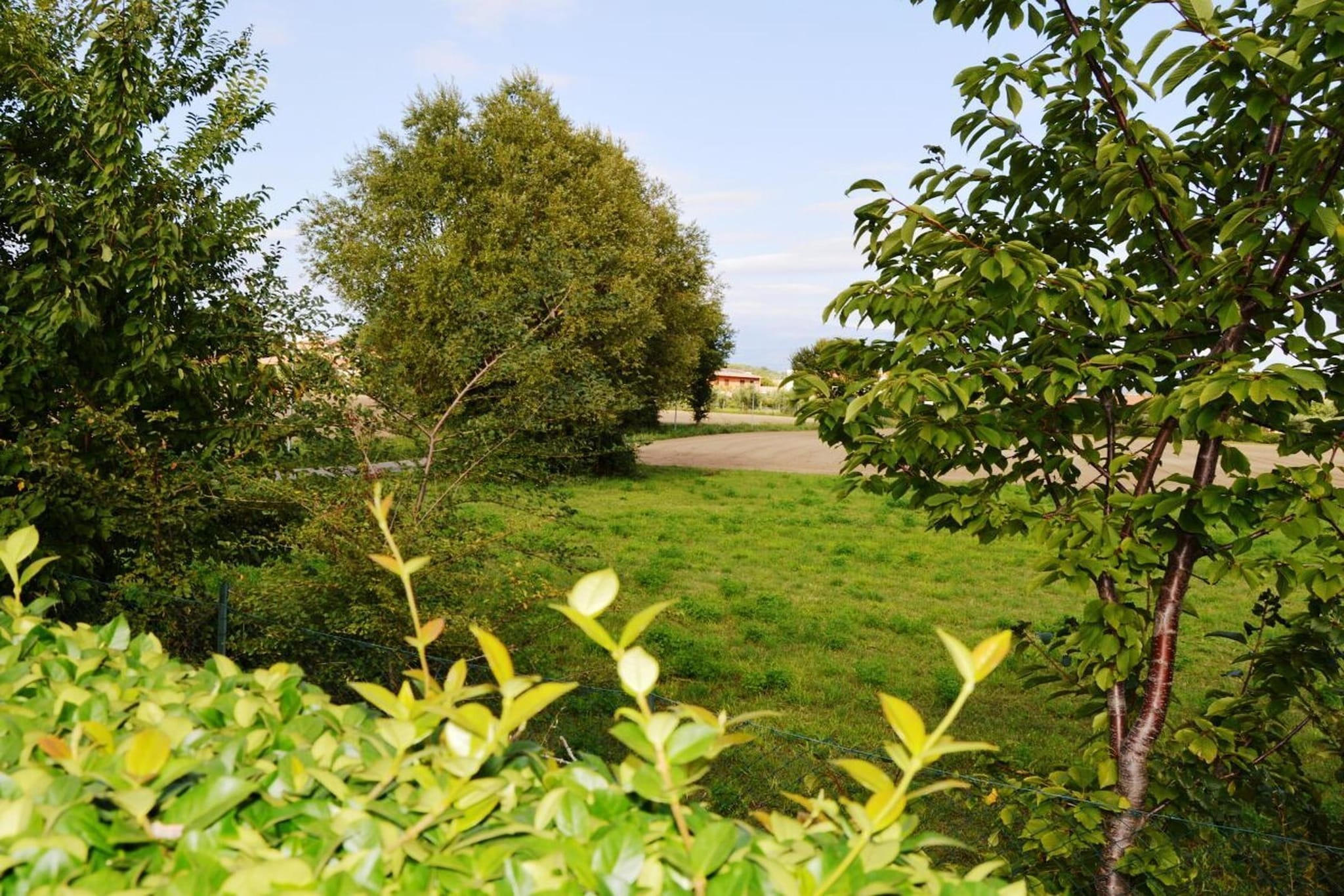 690562 - Jardins en été