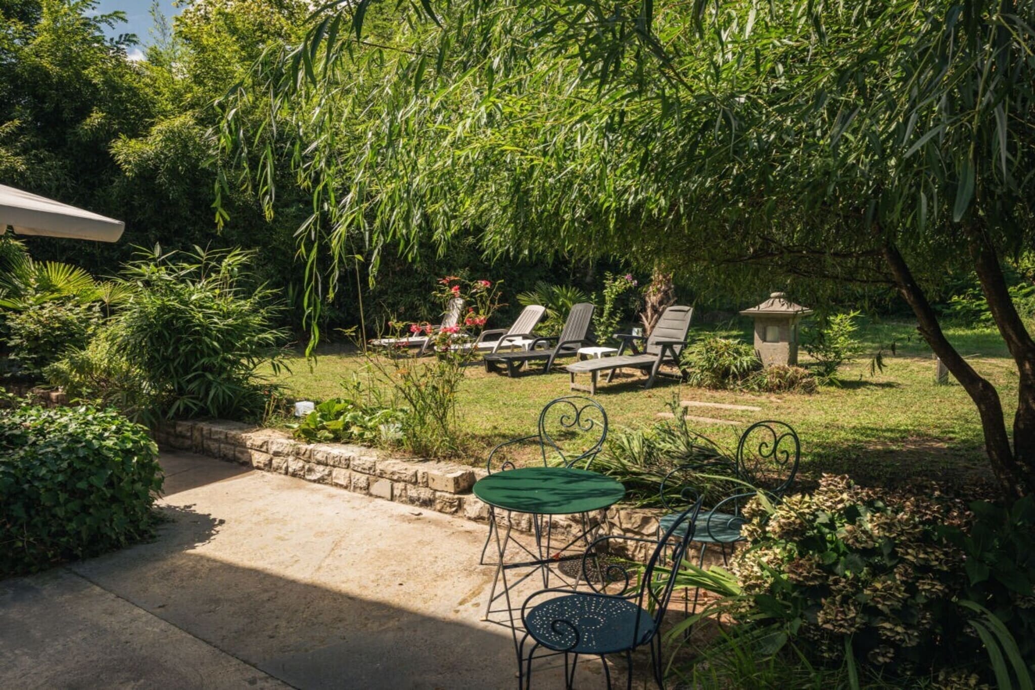 117749 - Jardins en été