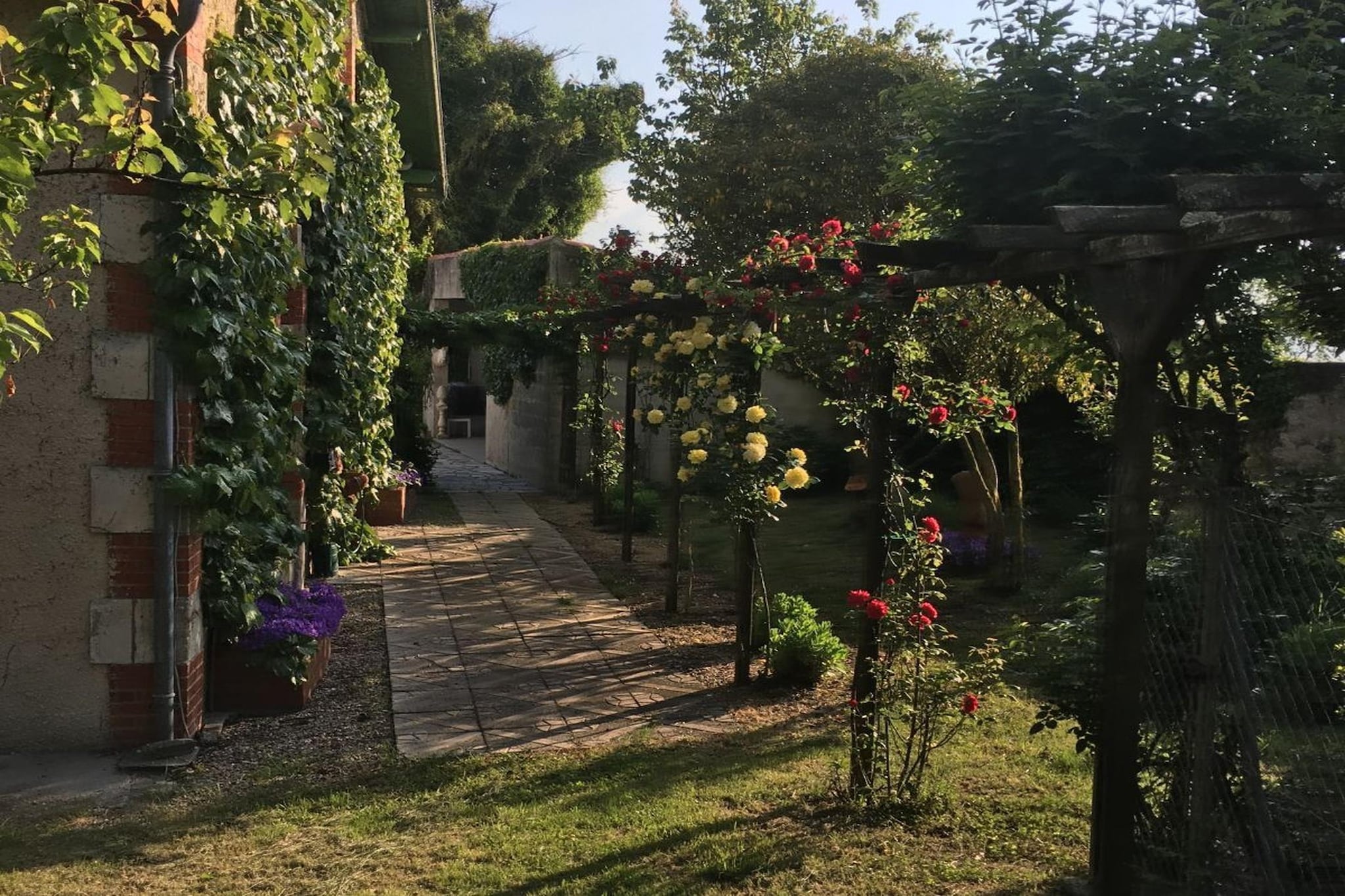 Garden Summer