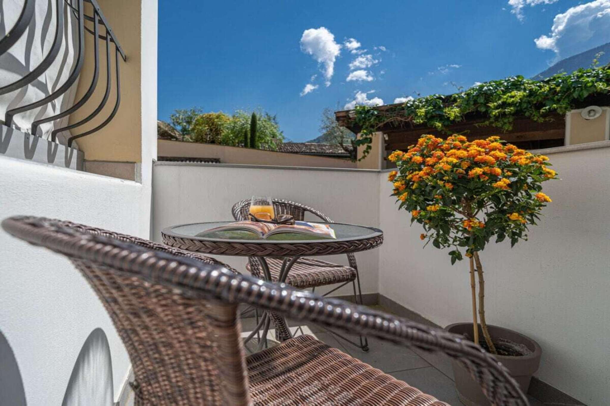 752336 - Terrace balcony