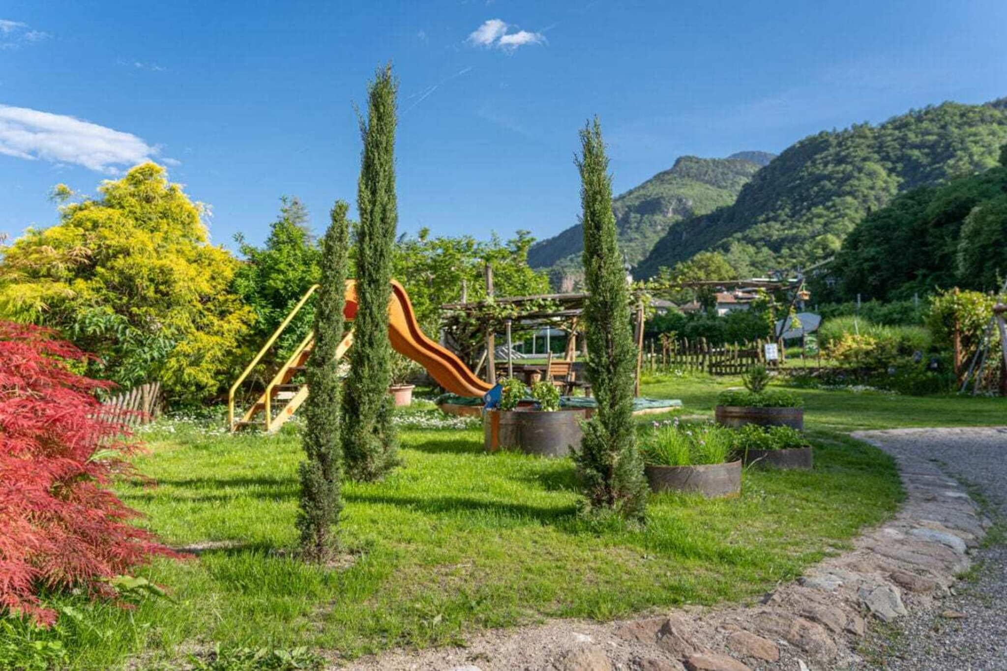 752336 - Gardens in summer