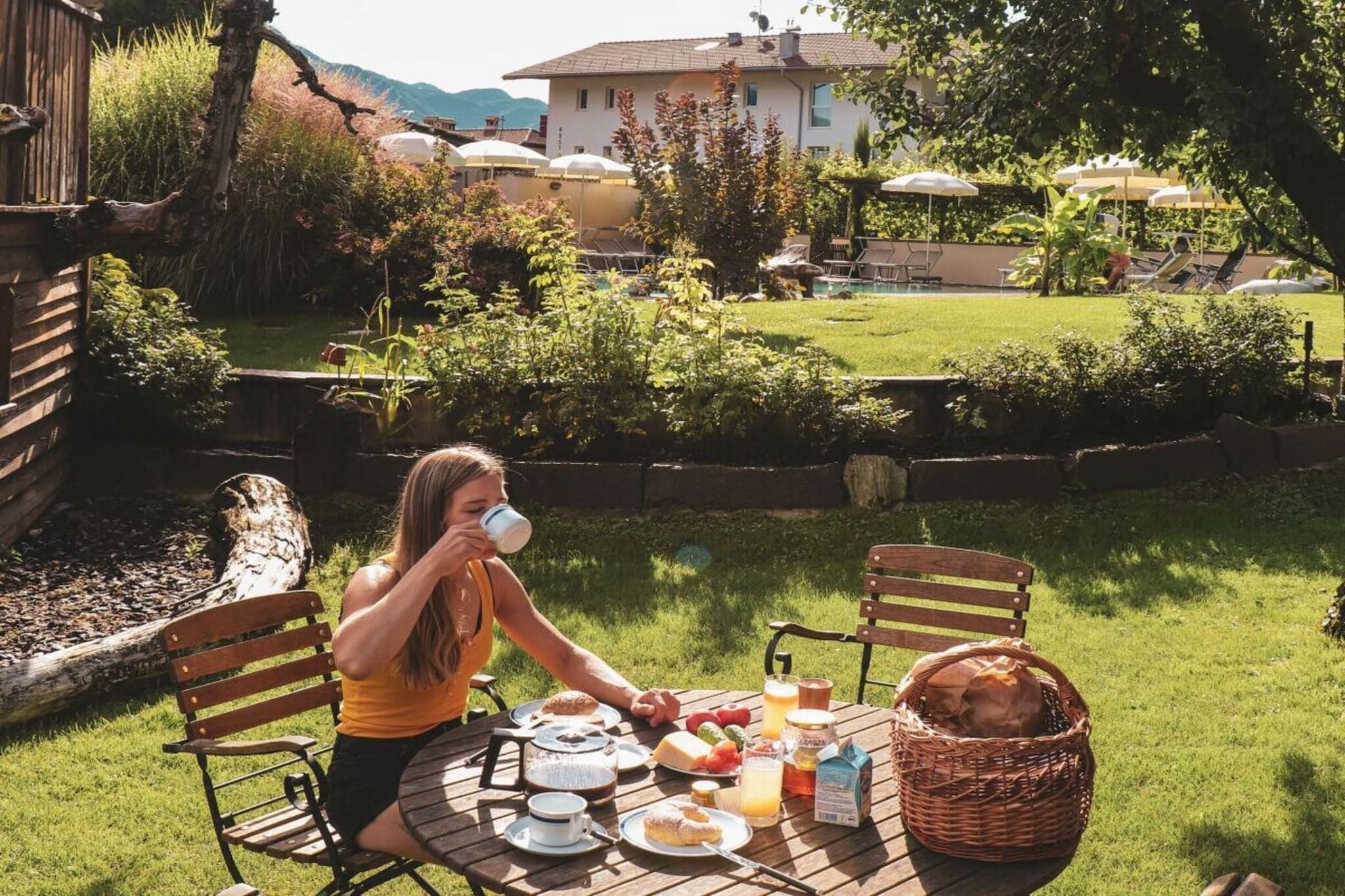 752402 - Gardens in summer