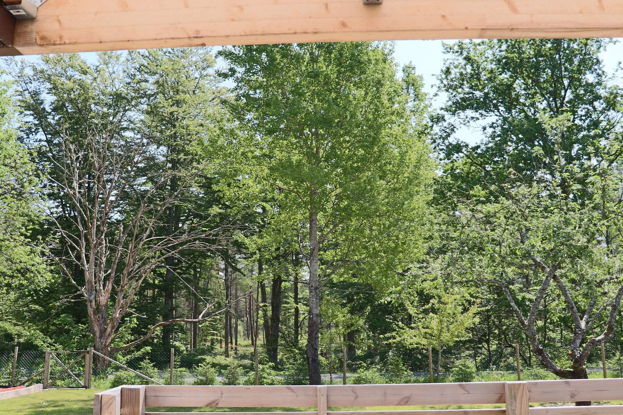 4 sterren vakantie huis in Vittsjö - Buitenlucht