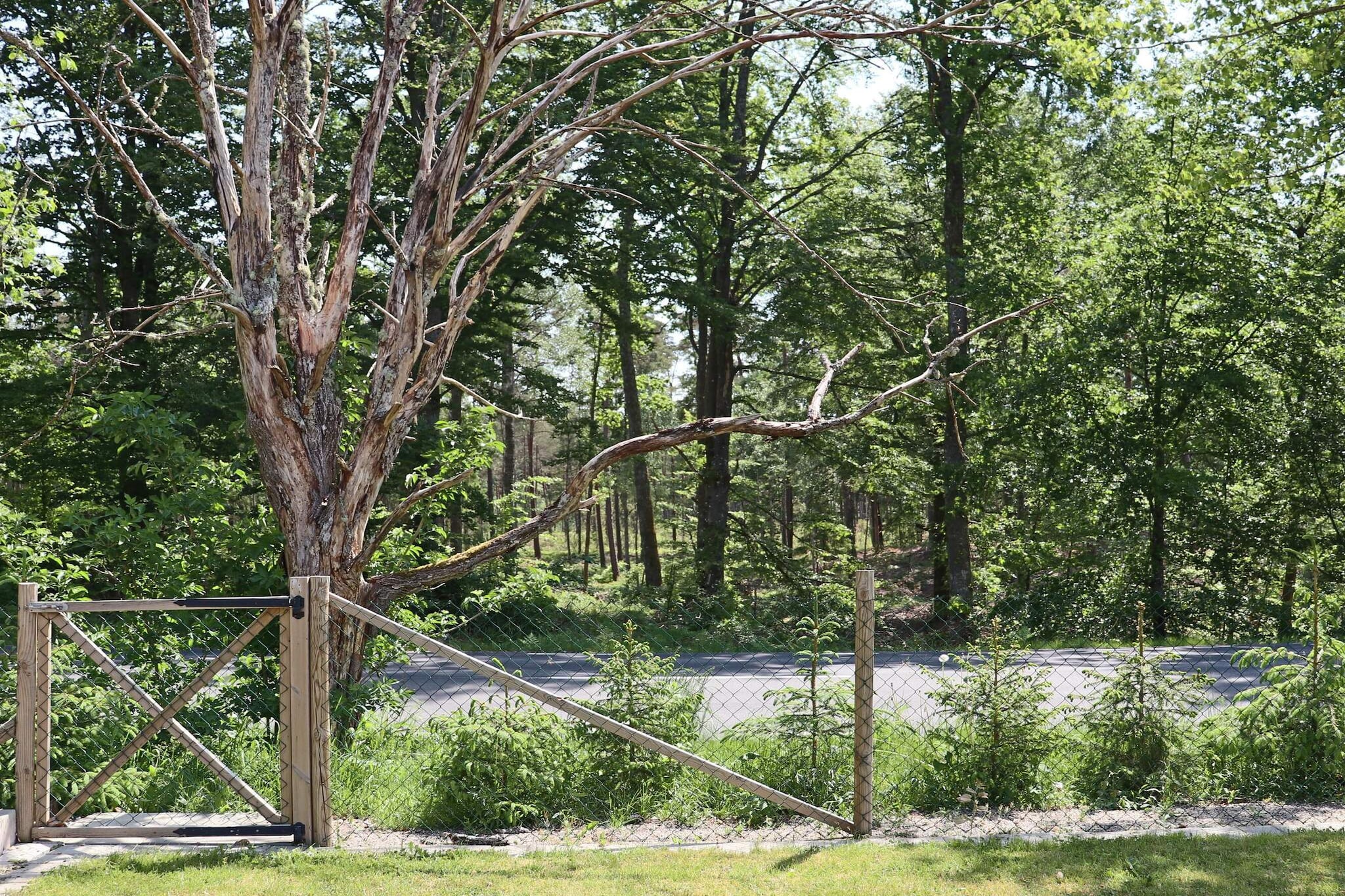 4 sterren vakantie huis in Vittsjö - Buitenlucht