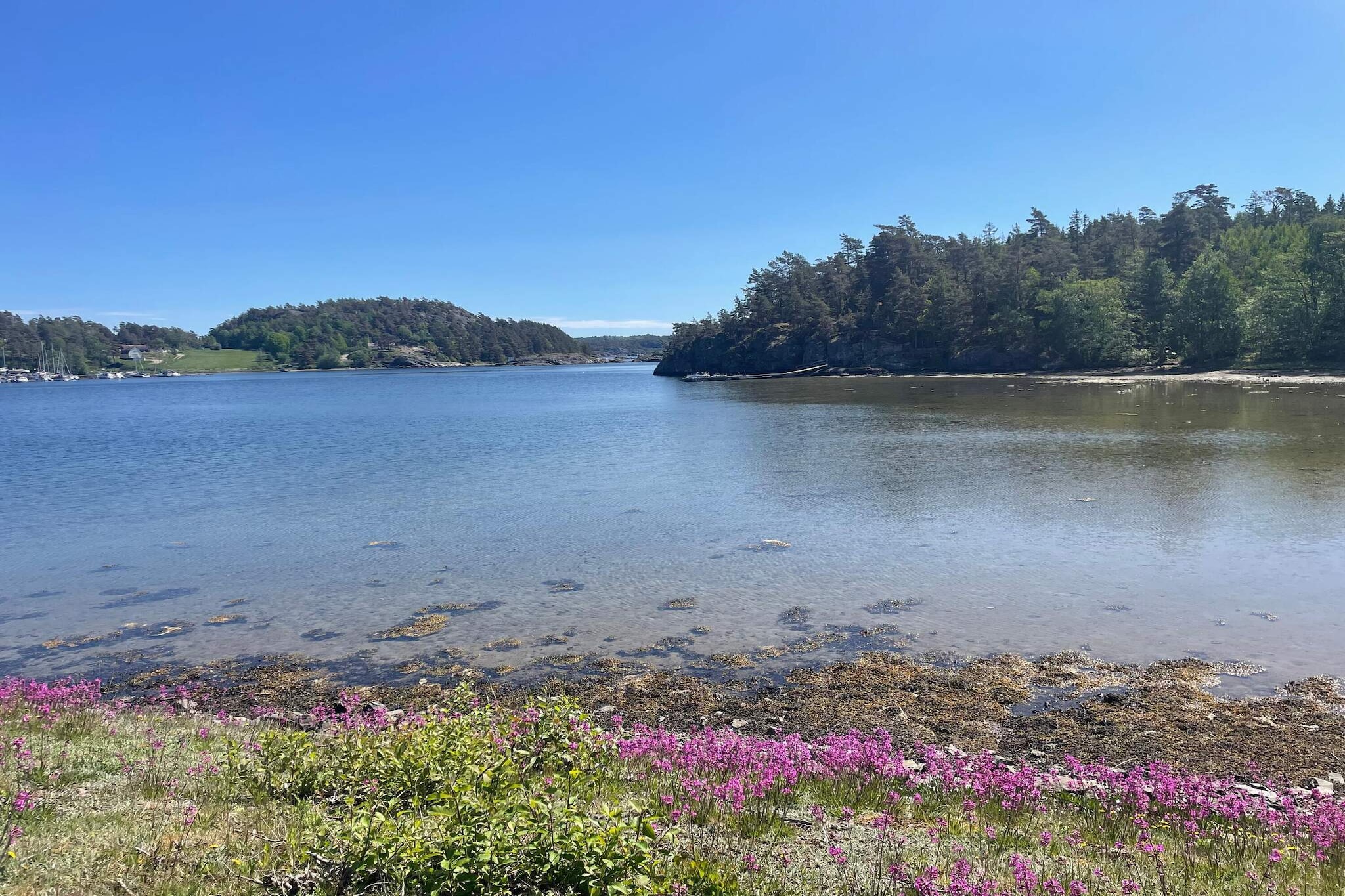 4 star holiday home in ELLÖS
