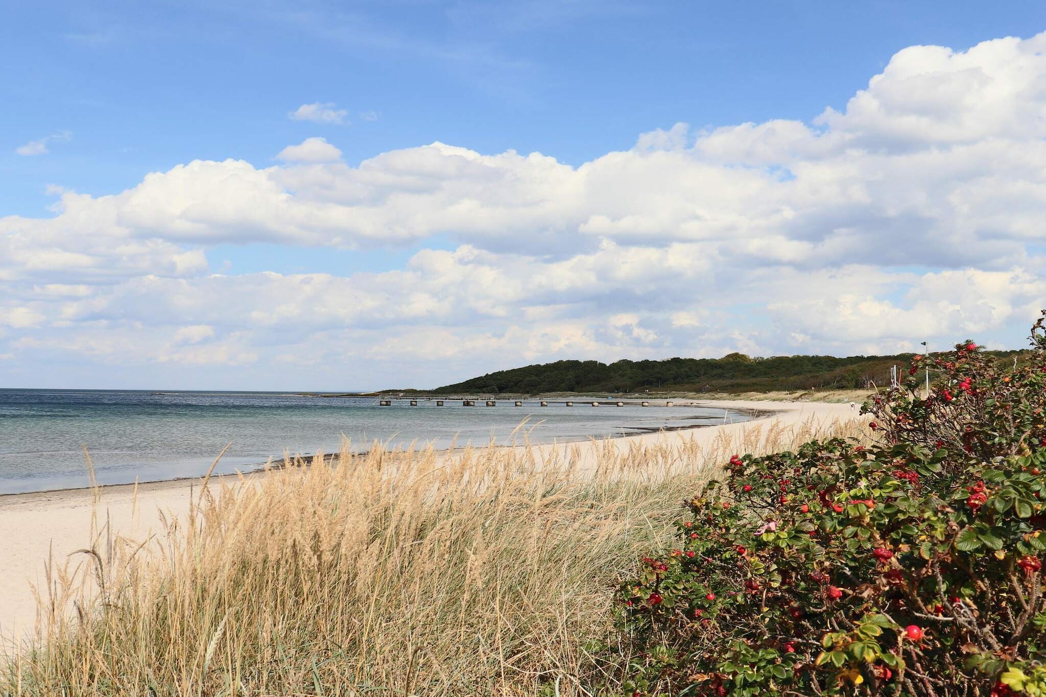 5 Personen vakantie huis in BÅSTAD - Niet-getagd