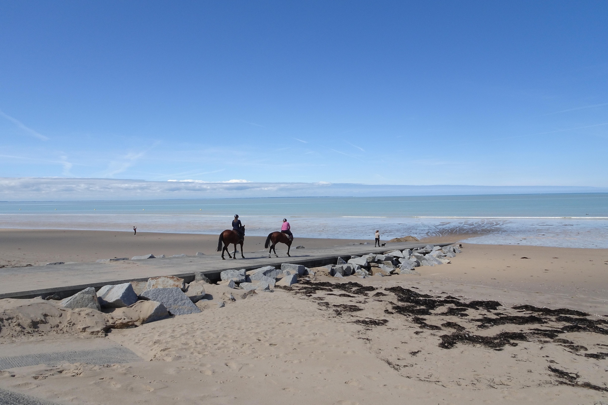 Chalet Saint-Pair-sur-Mer - Gebieden zomer 20km