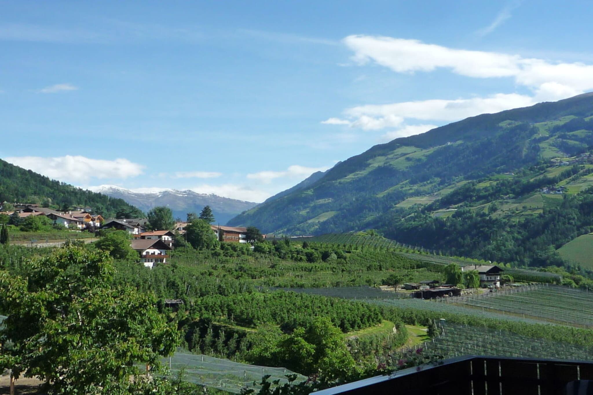 10952 - Aussicht Sommer