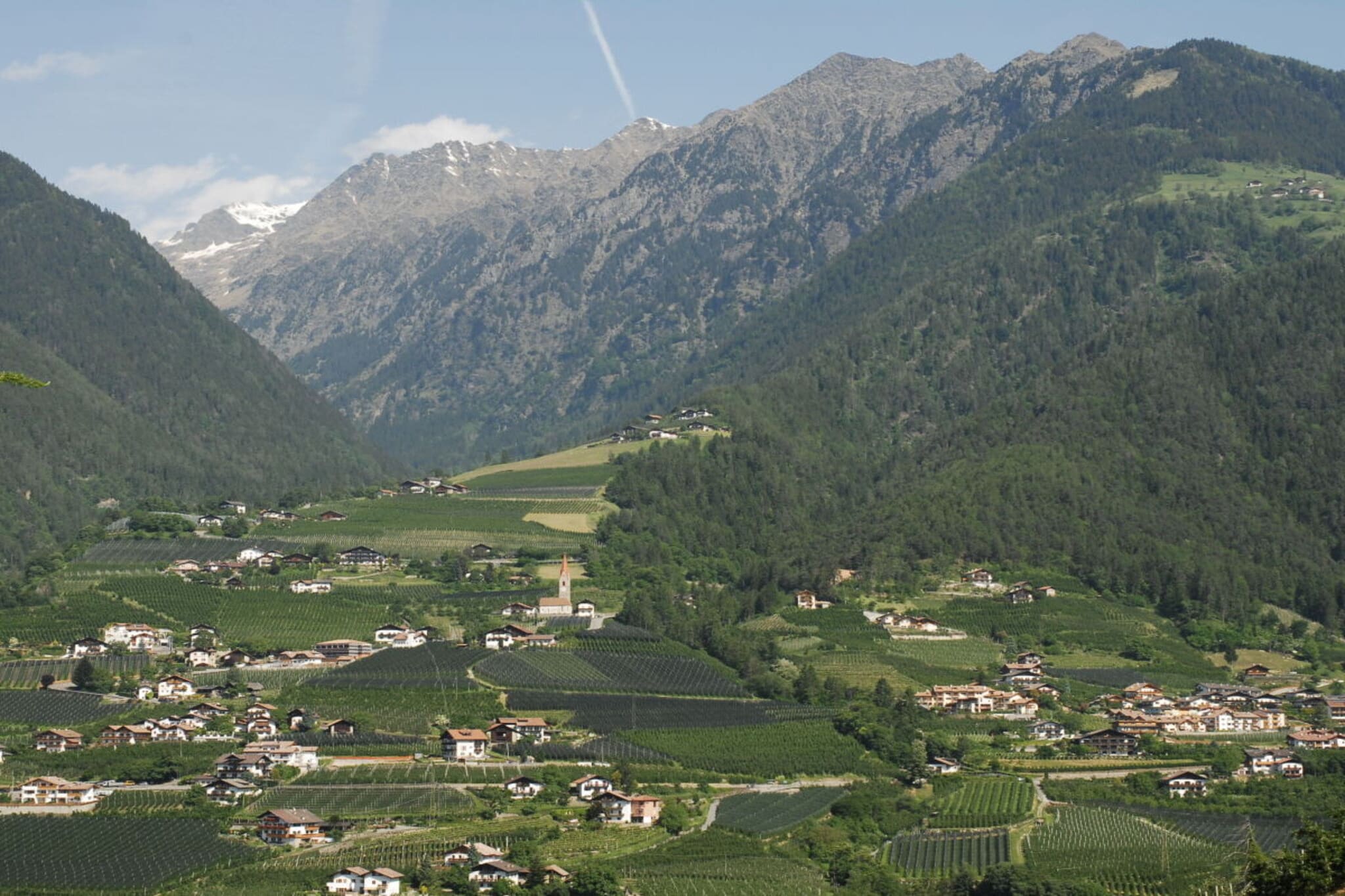 10952 - Aussicht Sommer