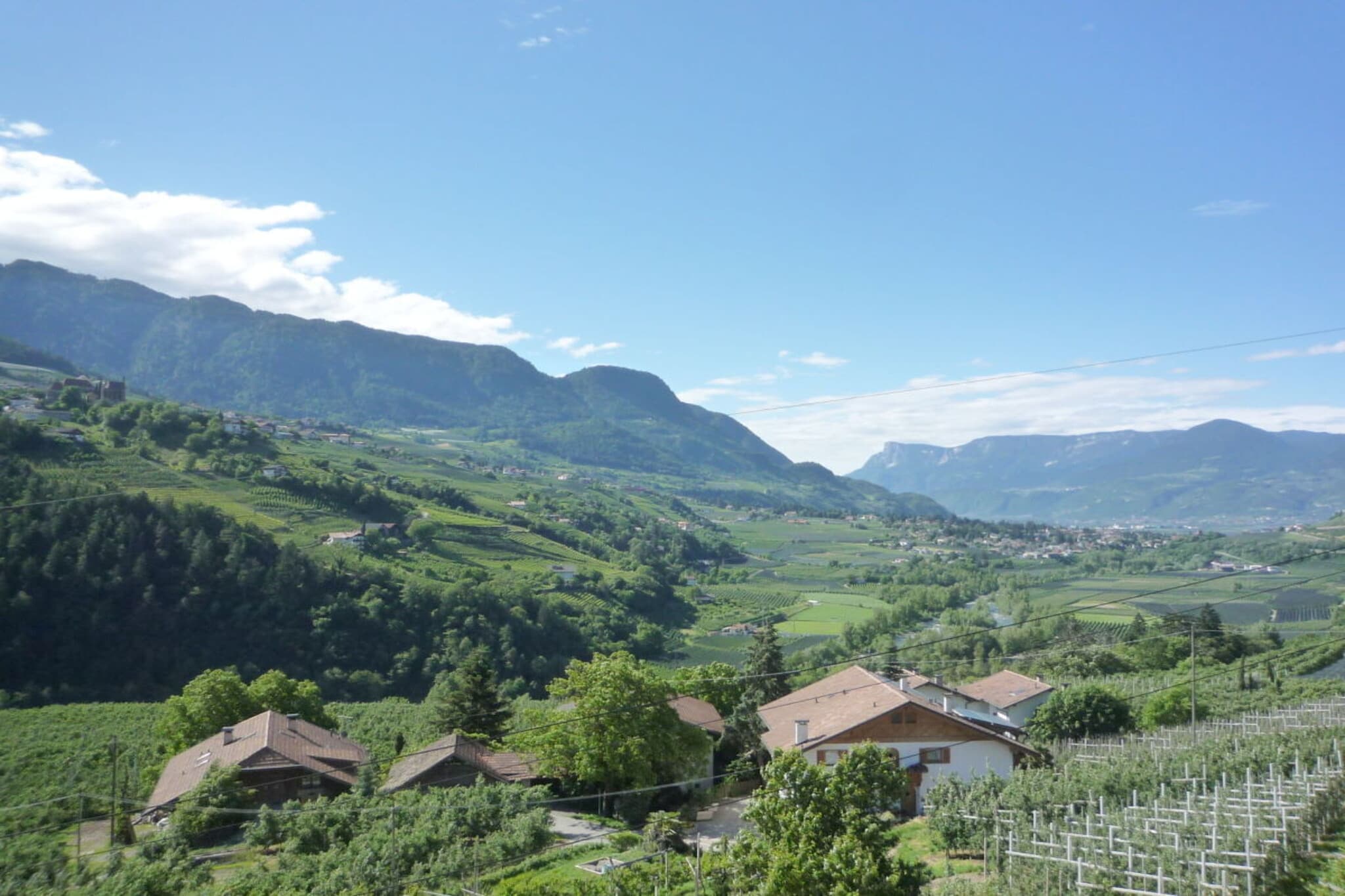 10952 - Aussicht Sommer